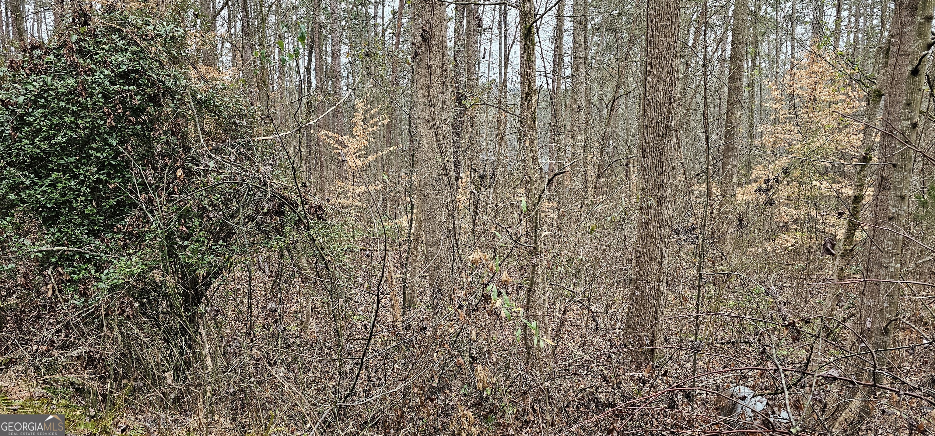 72 Dogwood Trail Property Photo