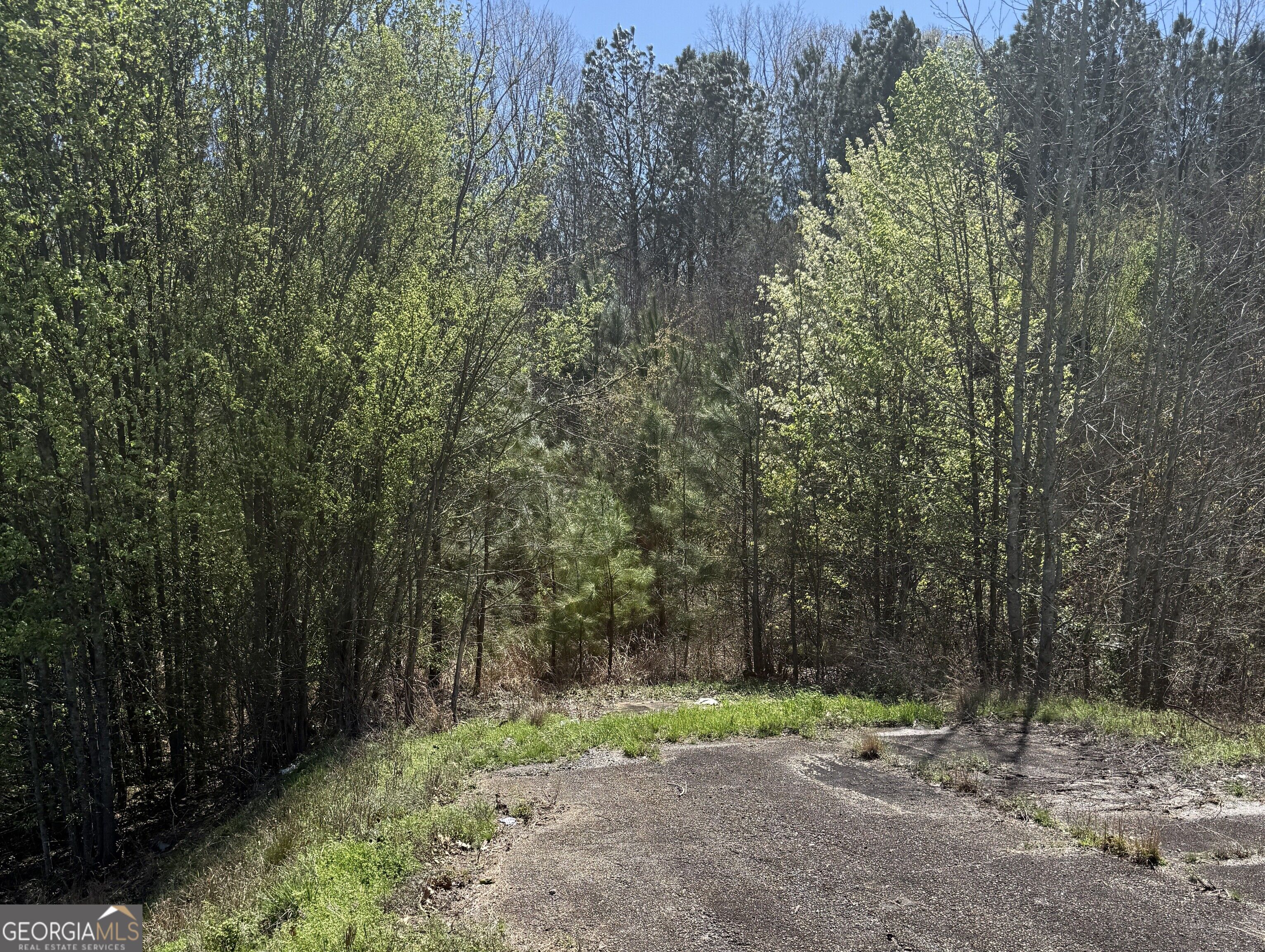 2753 E Hwy 34 Property Photo 6