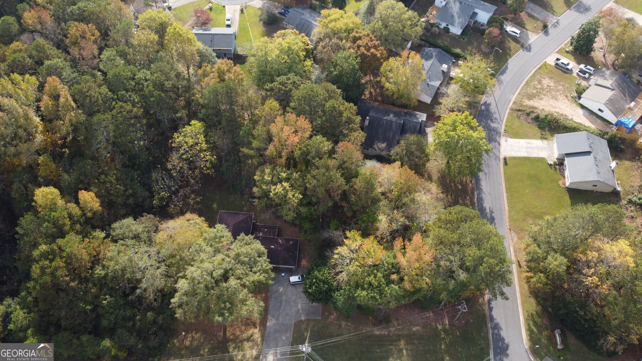 11085 State Bridge Road Property Photo 3