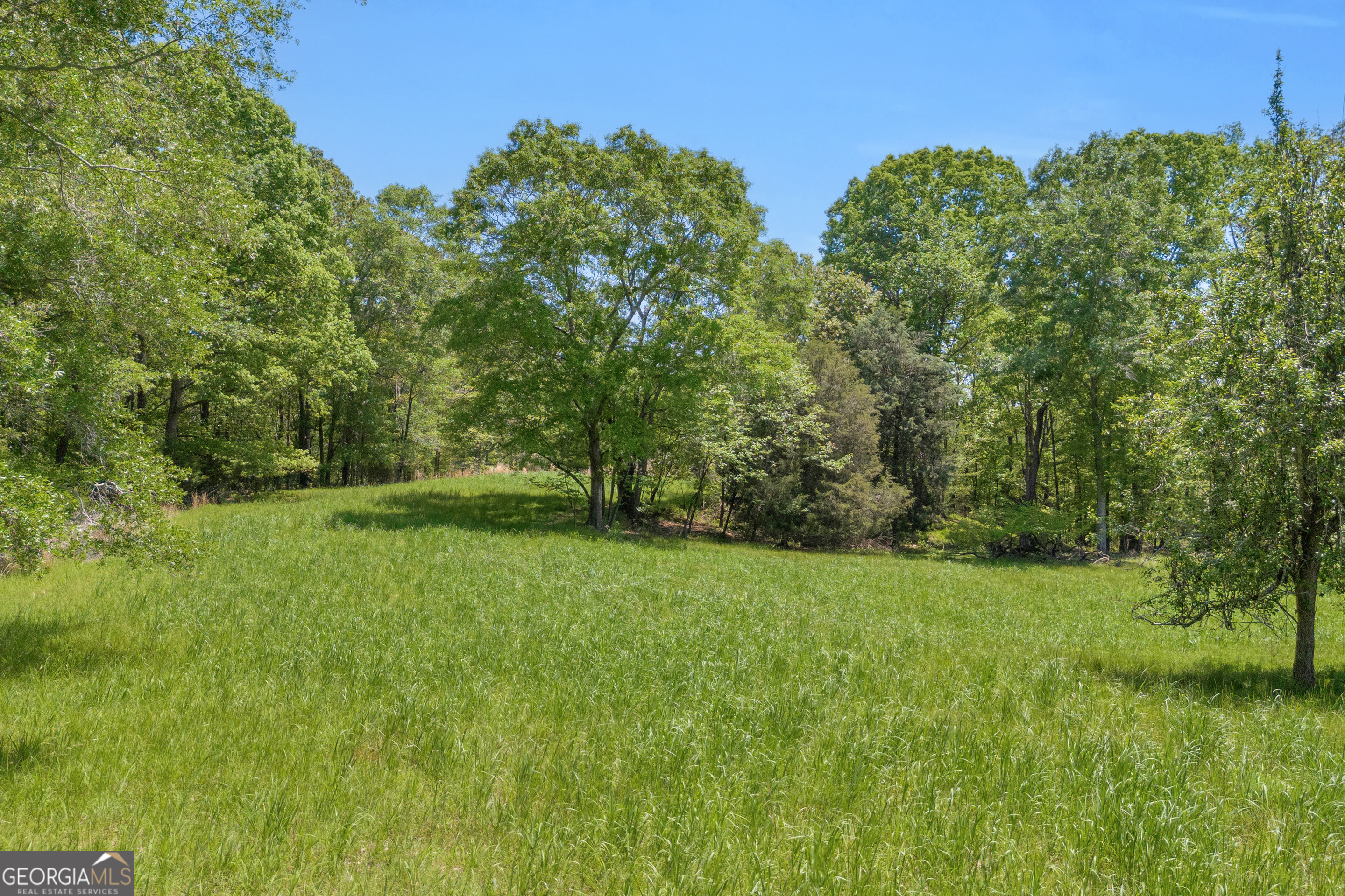1745 Hannah Creek Church Road Property Photo 1