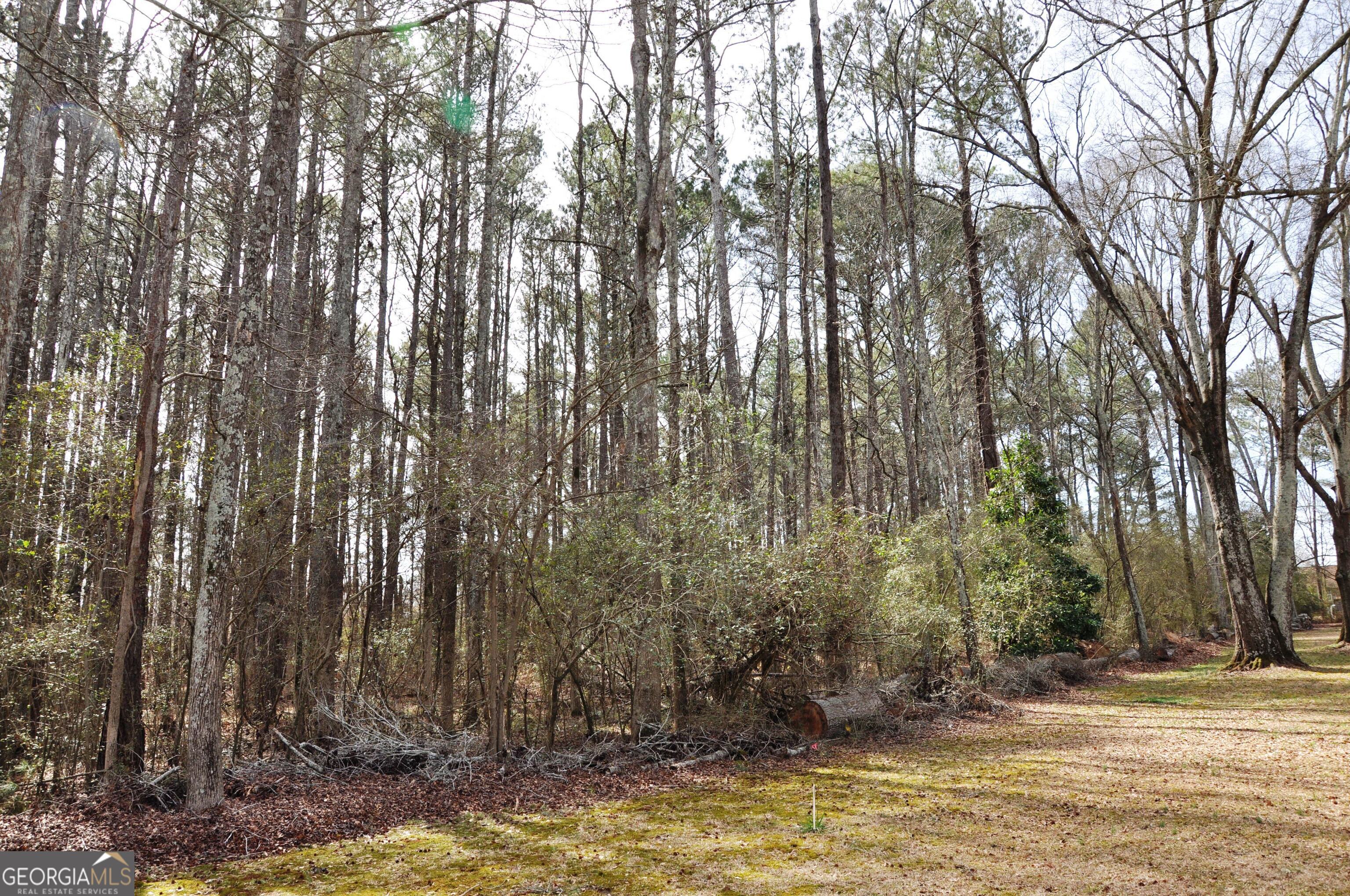 0 Monroe Hwy Property Photo 6