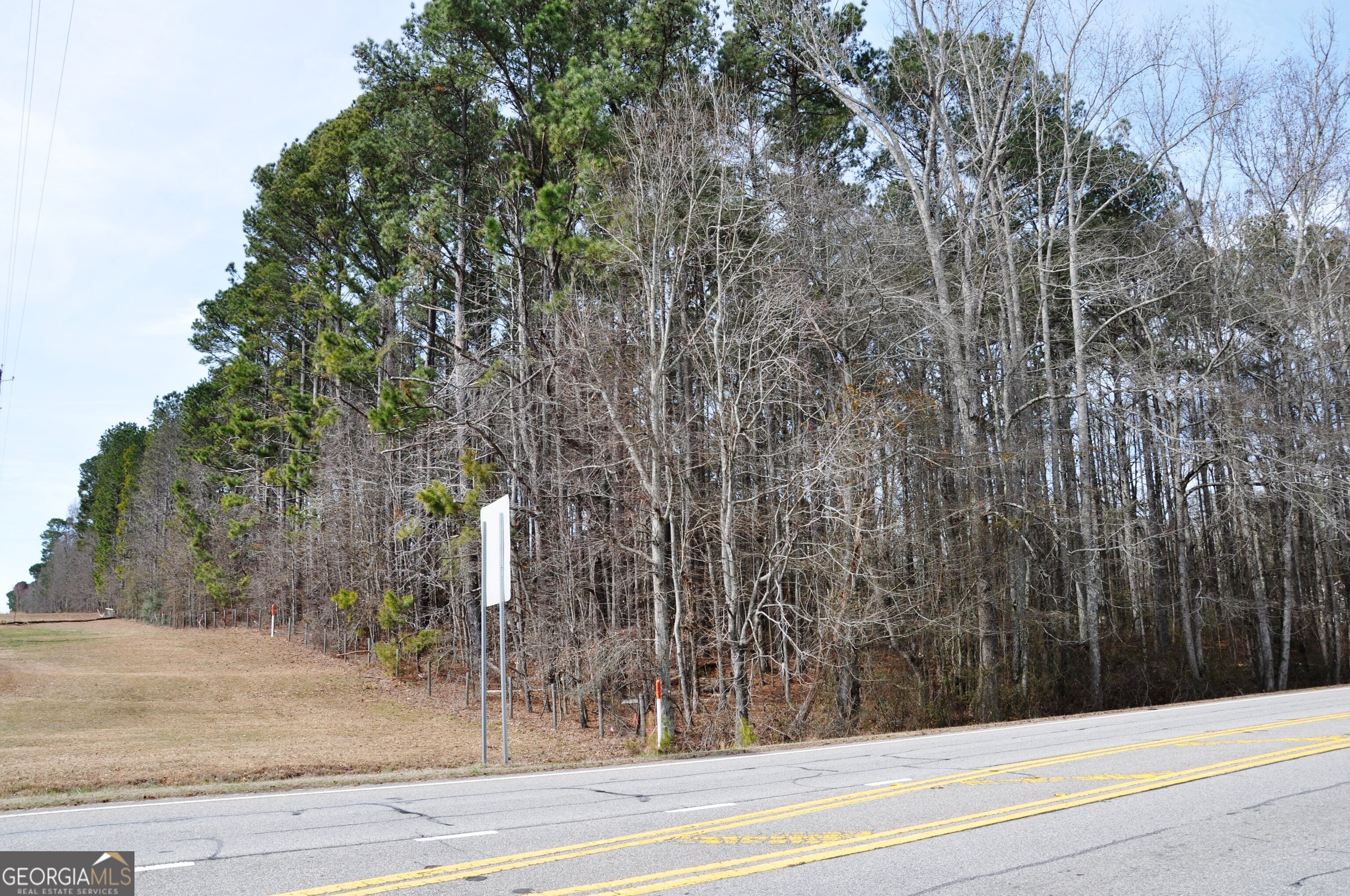 0 Monroe Hwy Property Photo 12