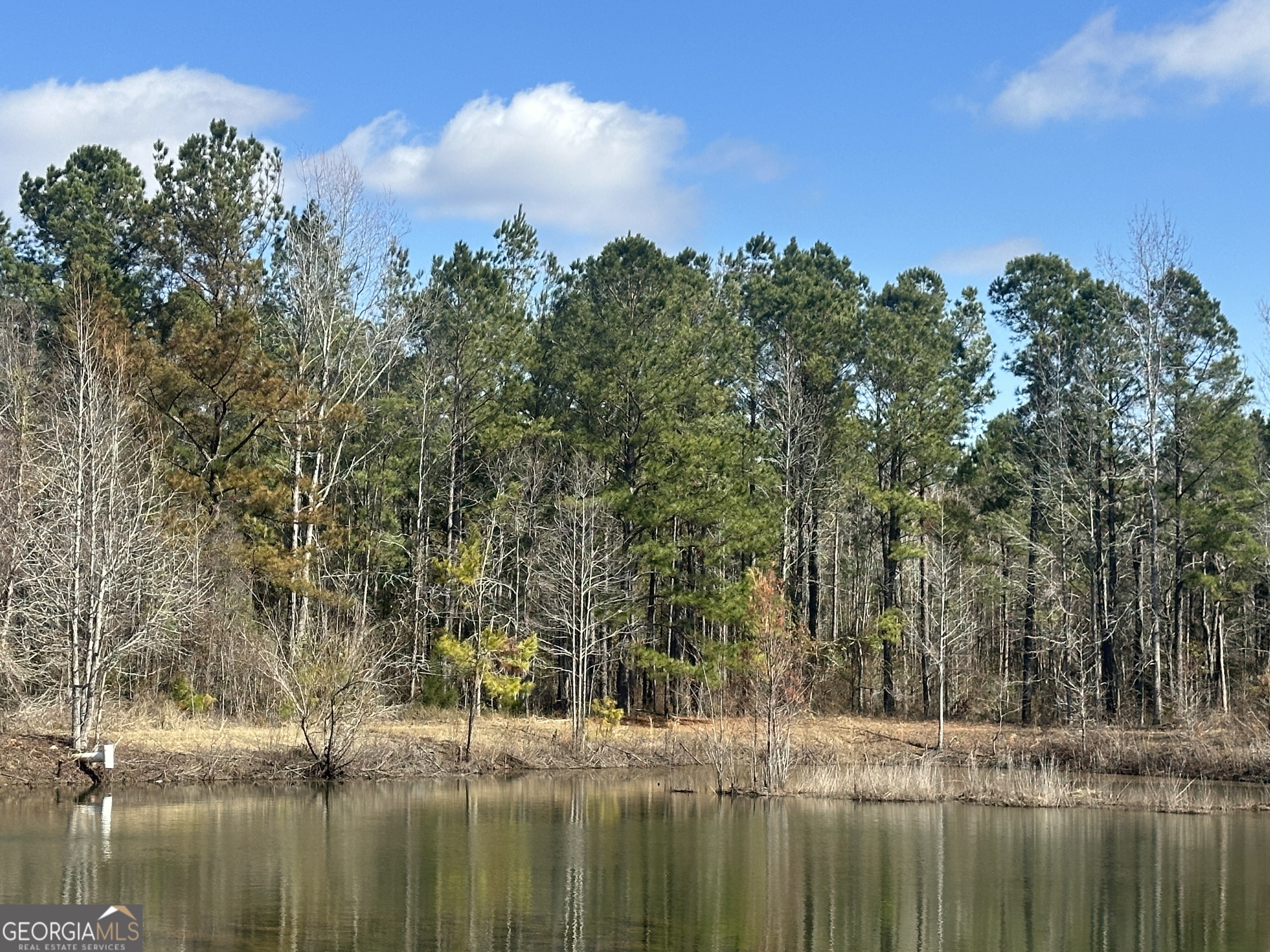 0 Newington Highway Property Photo