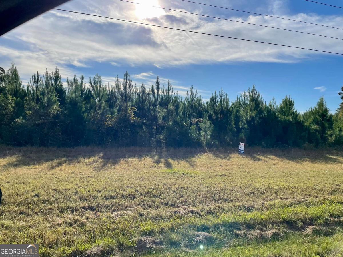 35.64 Ac Highway 147 Property Photo