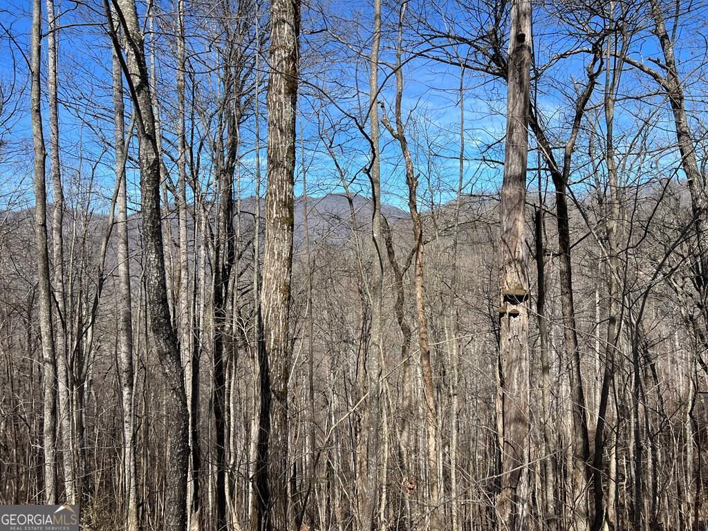 Lot 15 Bear Trail Property Photo 1