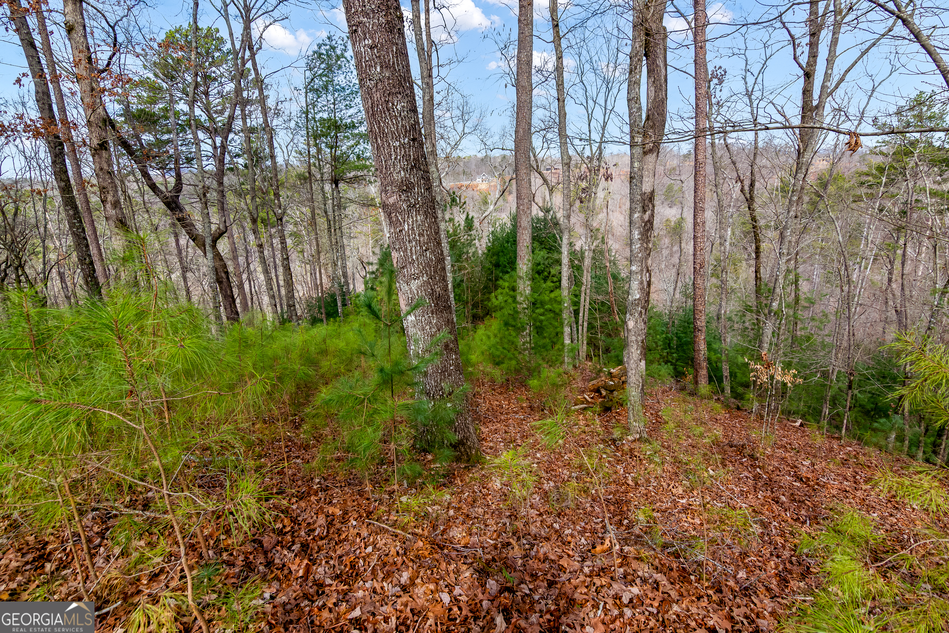 Lot 941 Myna Drive Property Photo 1