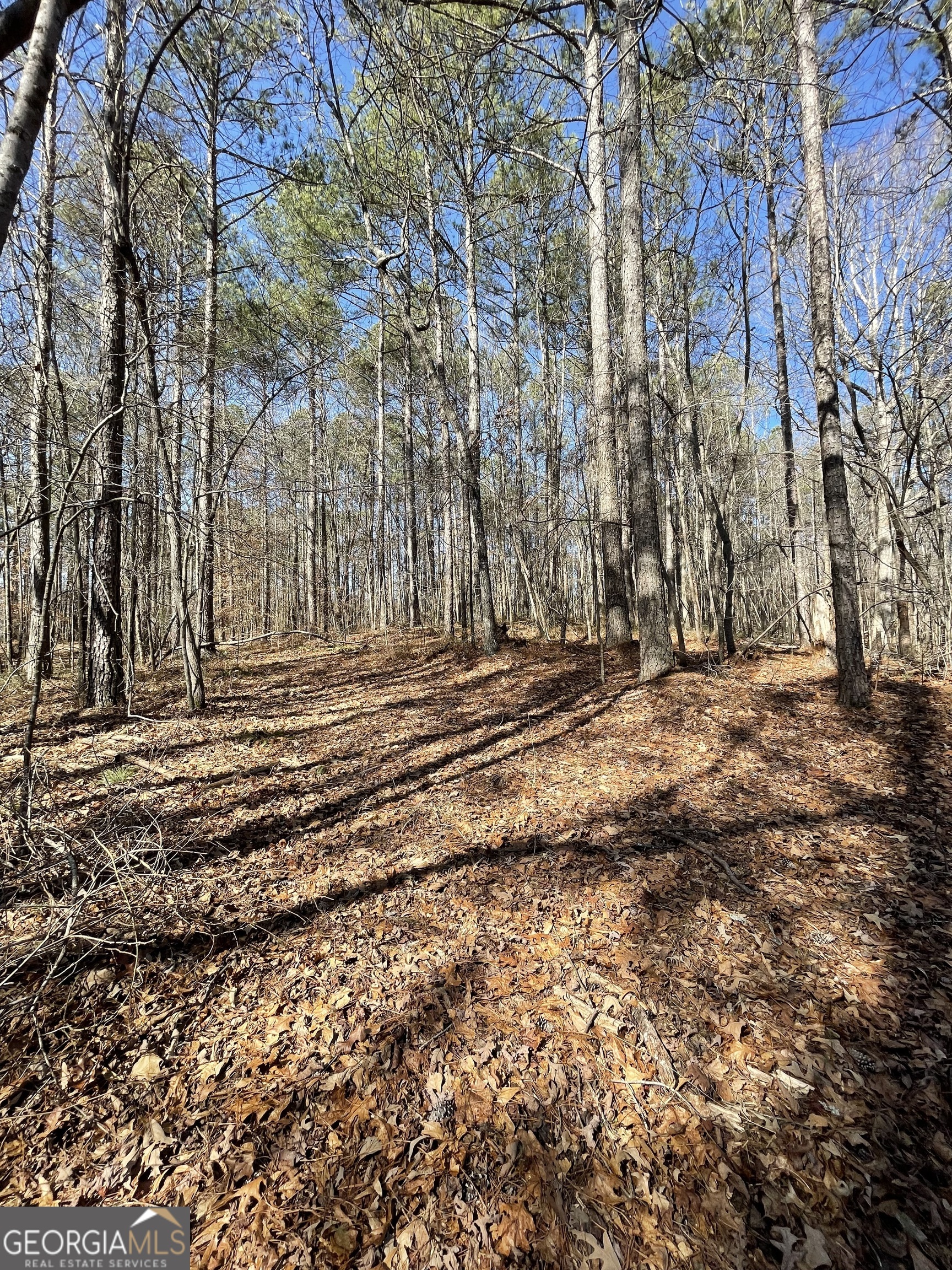 0 Cross Plains Hulett Road
