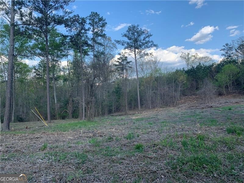 187 Old Jones Mountain Road Property Photo