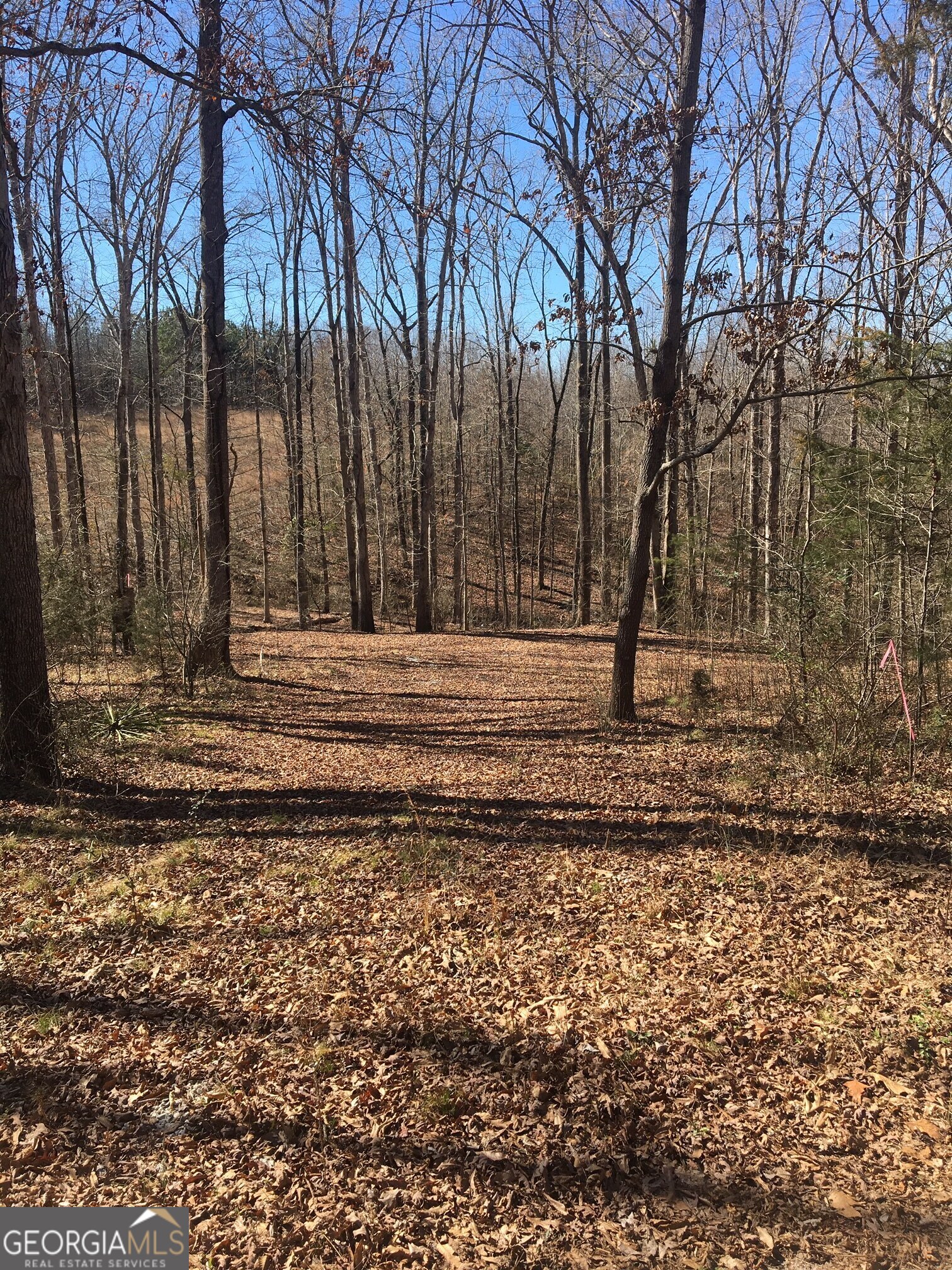 151 Sandy Springs Drive Property Photo