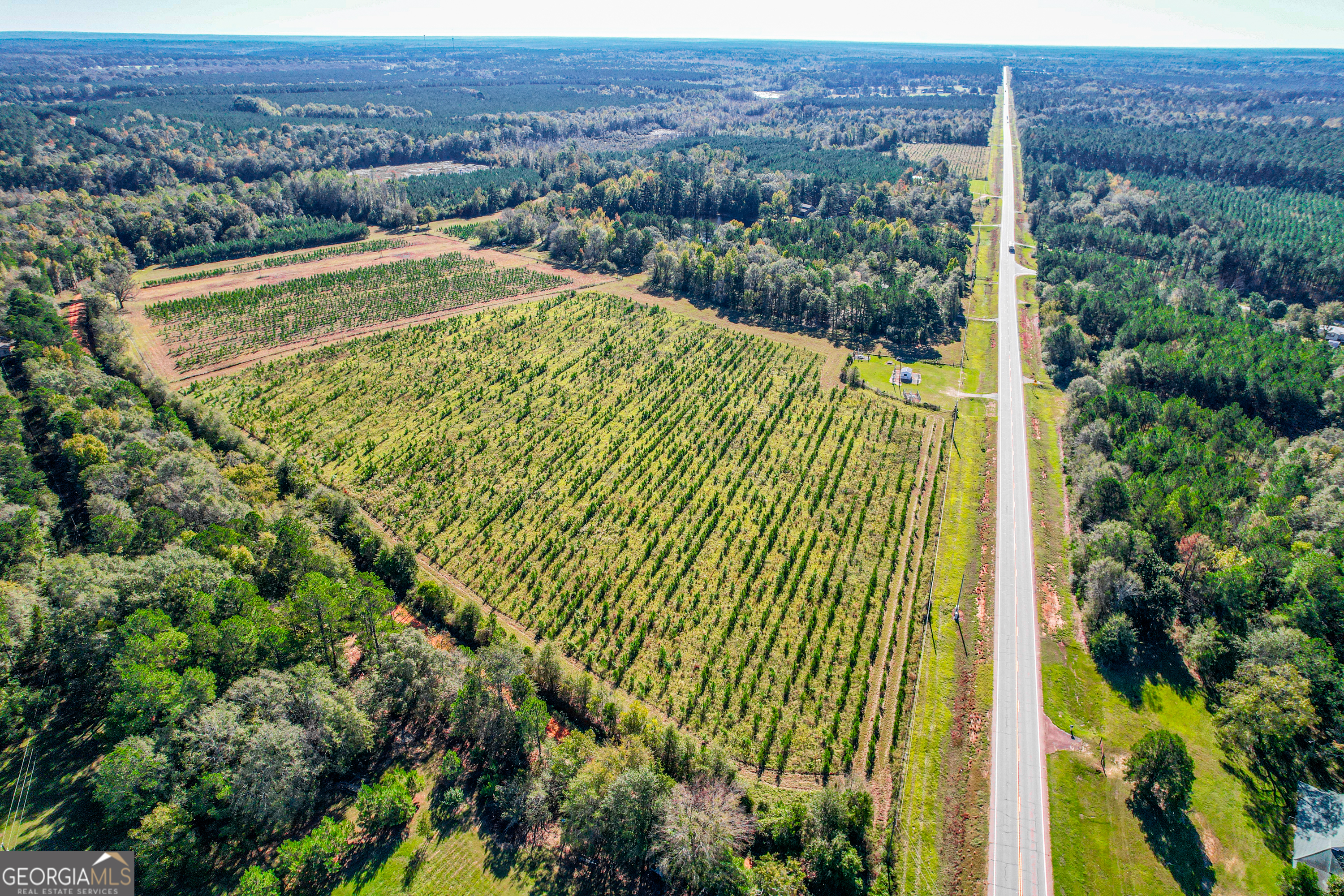 10072 Ga Highway 15 N Property Photo