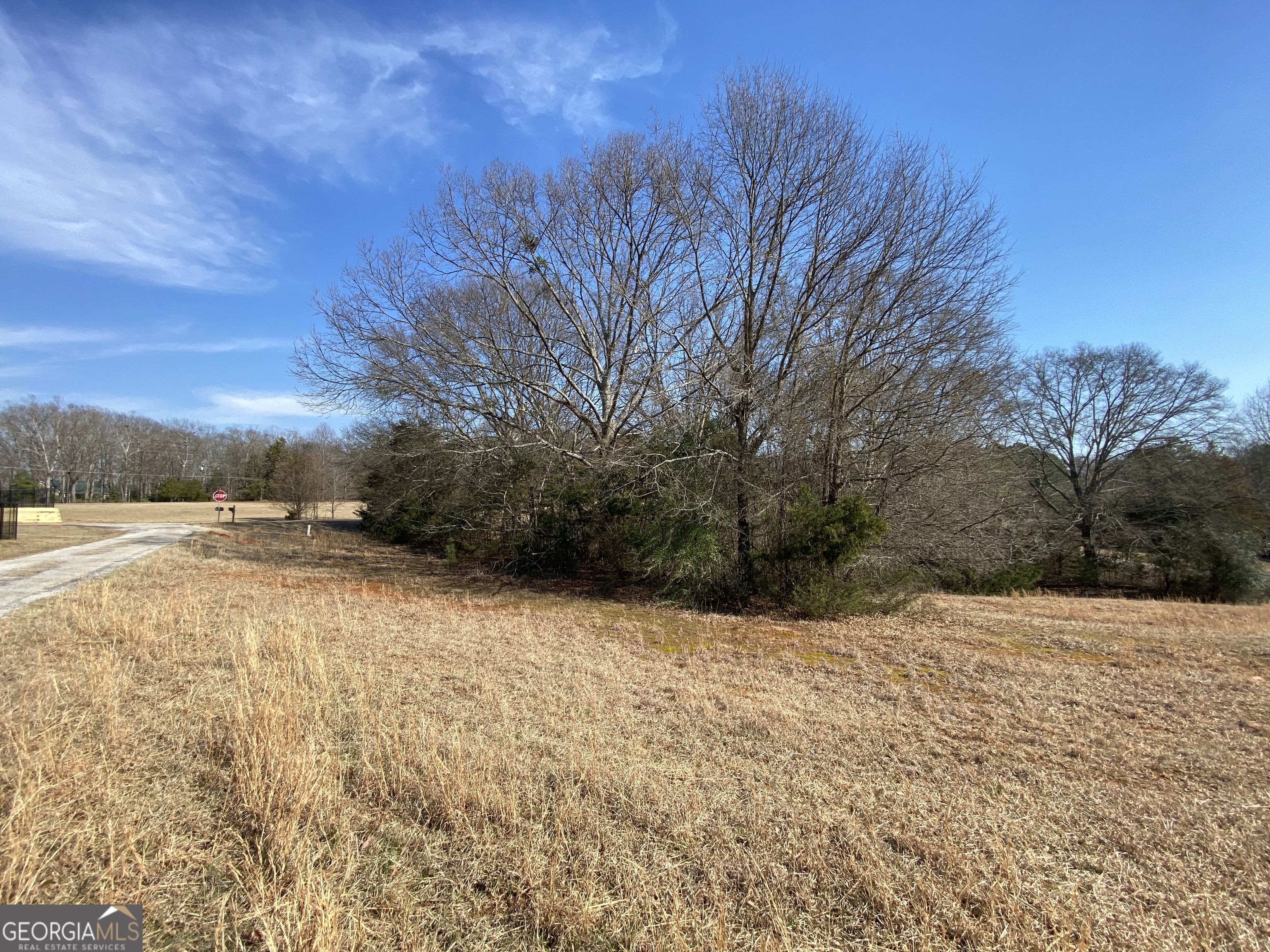 Lot 25 Majestic Shores Property Photo 1