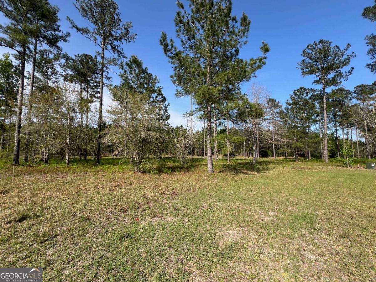 15 Windmill Palm Property Photo 1