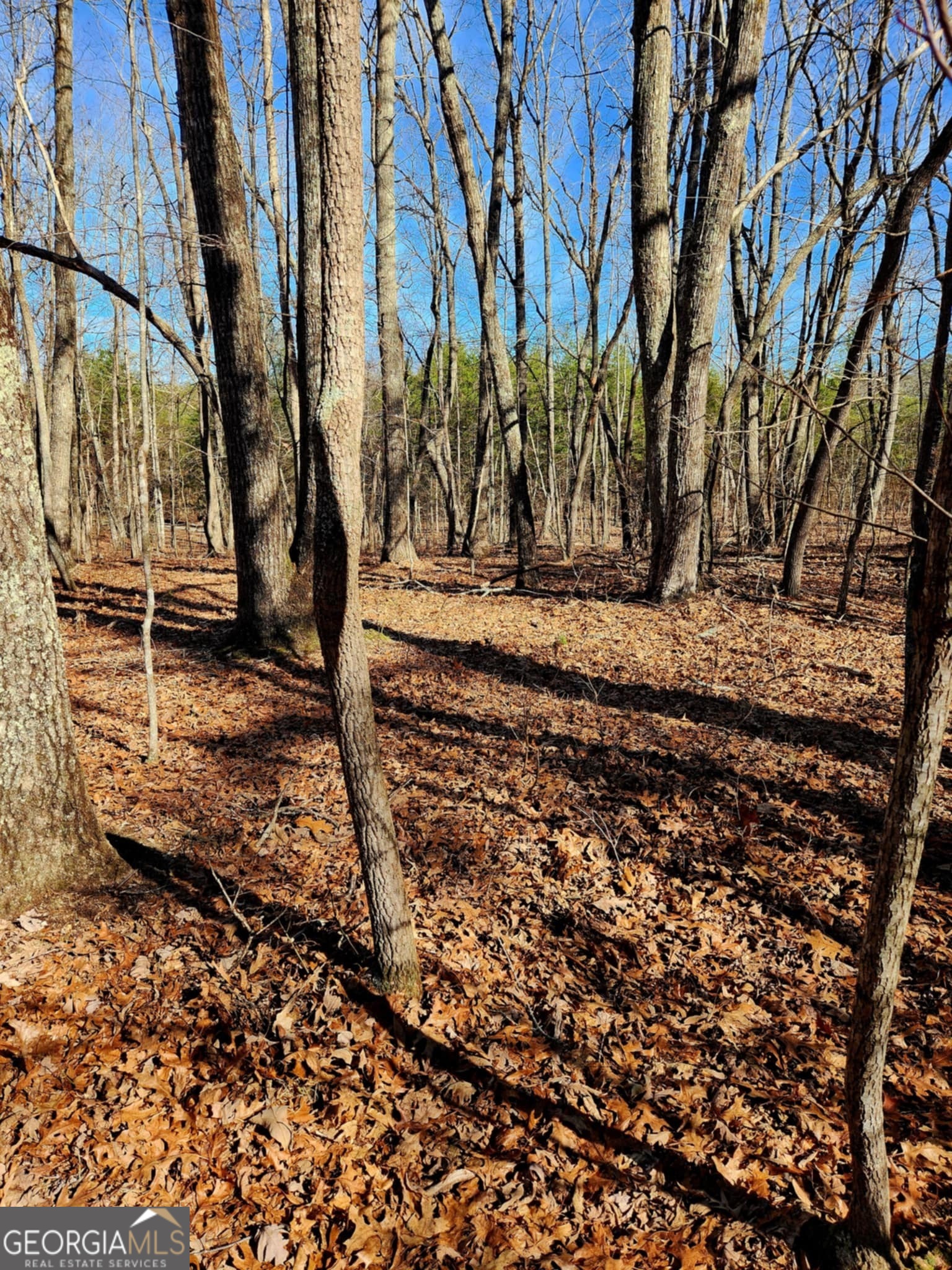 157 Highway Property Photo