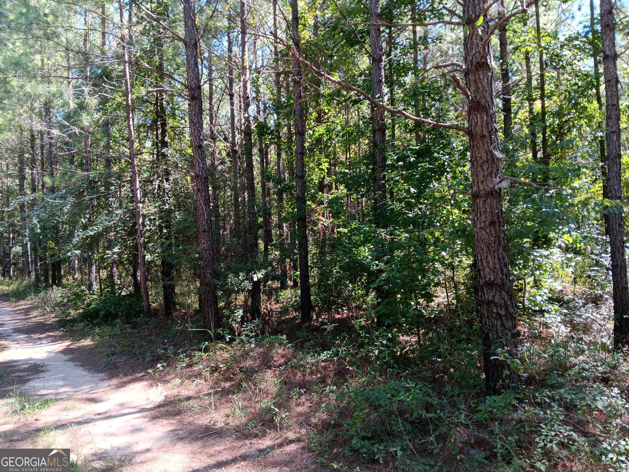 1083 Talbotton Highway Property Photo