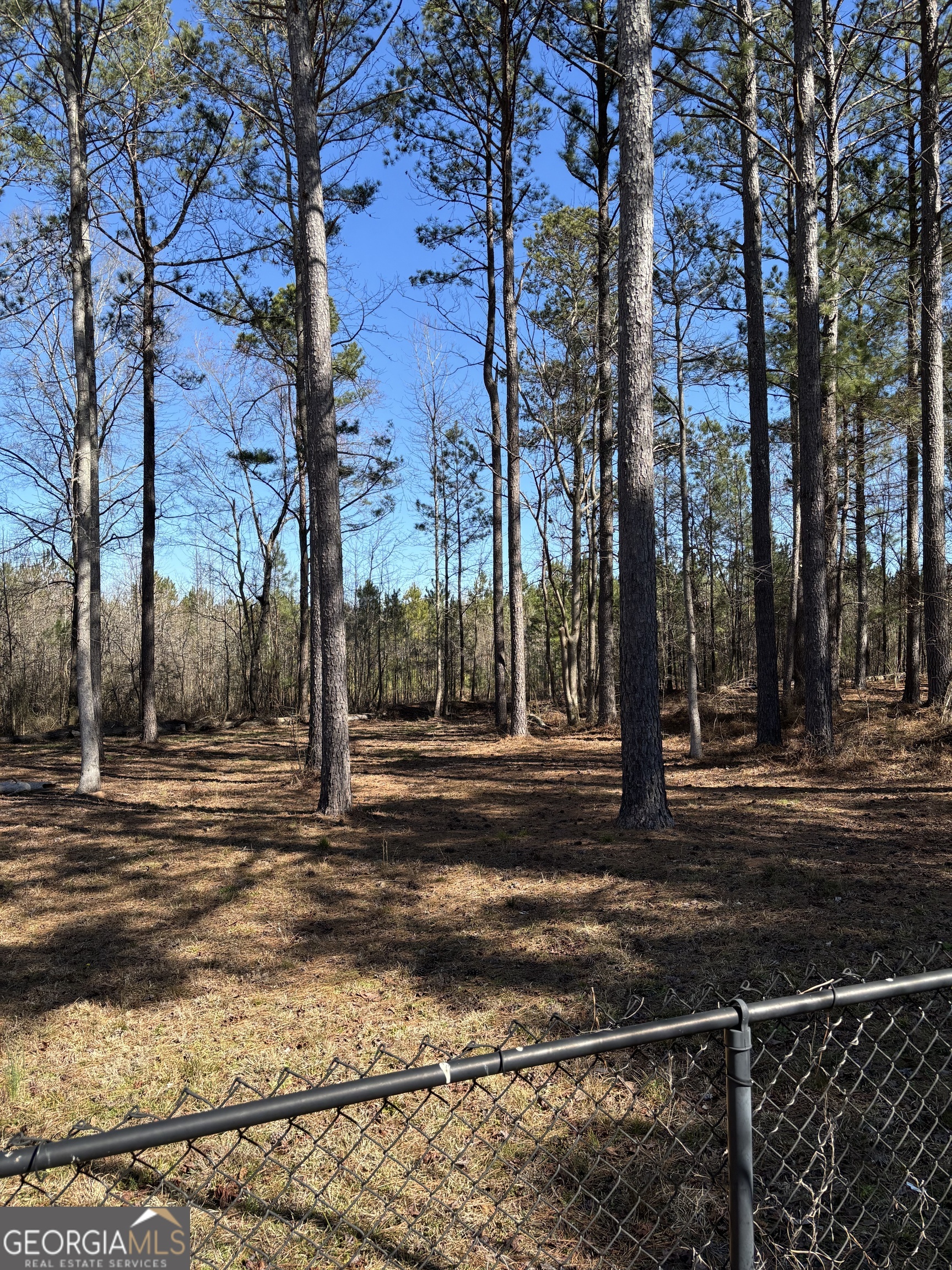 227 Evergreen North N Property Photo 59