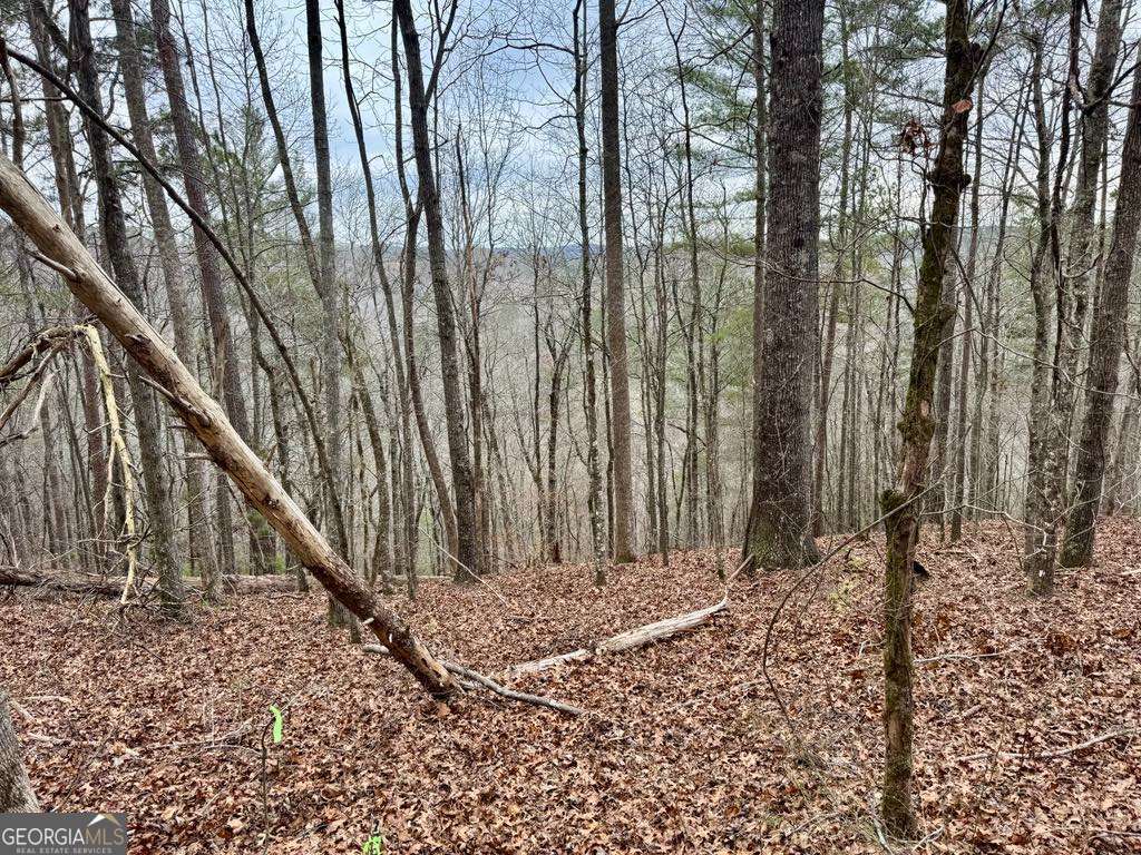 0-lot 1759b Rebekah Ridge Property Photo