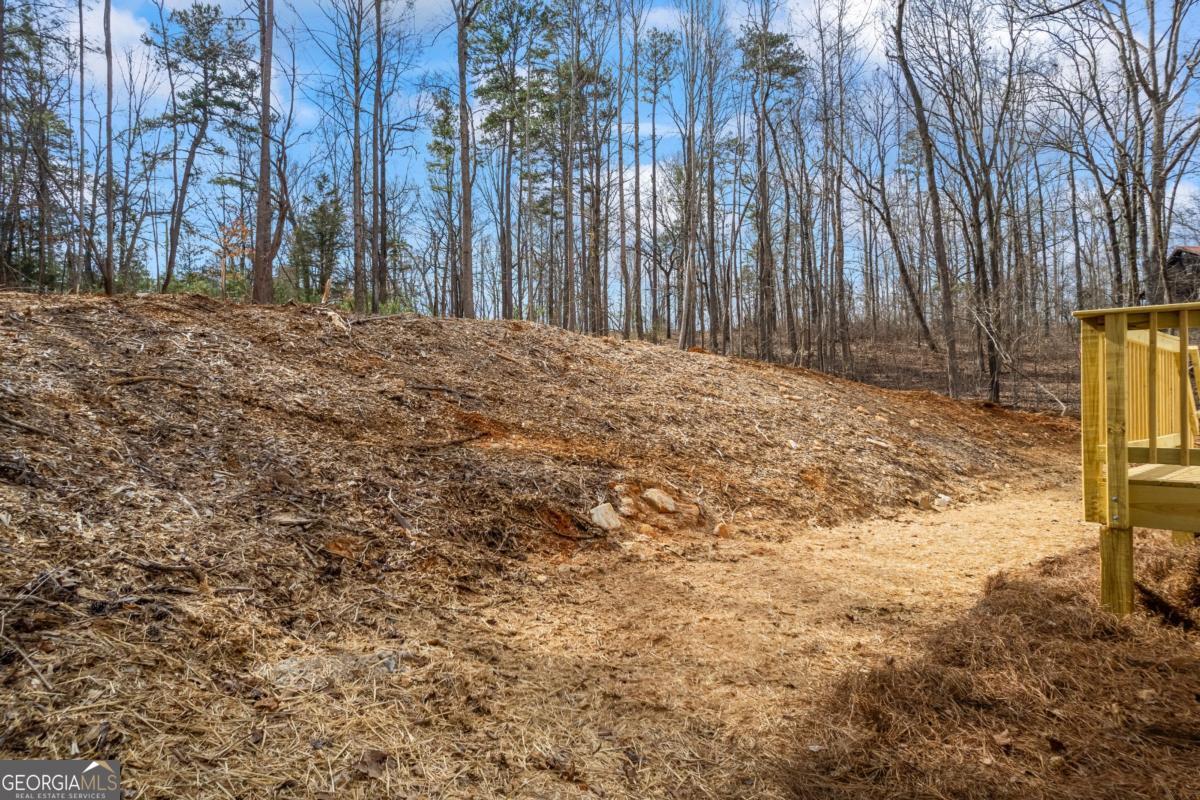 173 River Ridge Road Property Photo 33