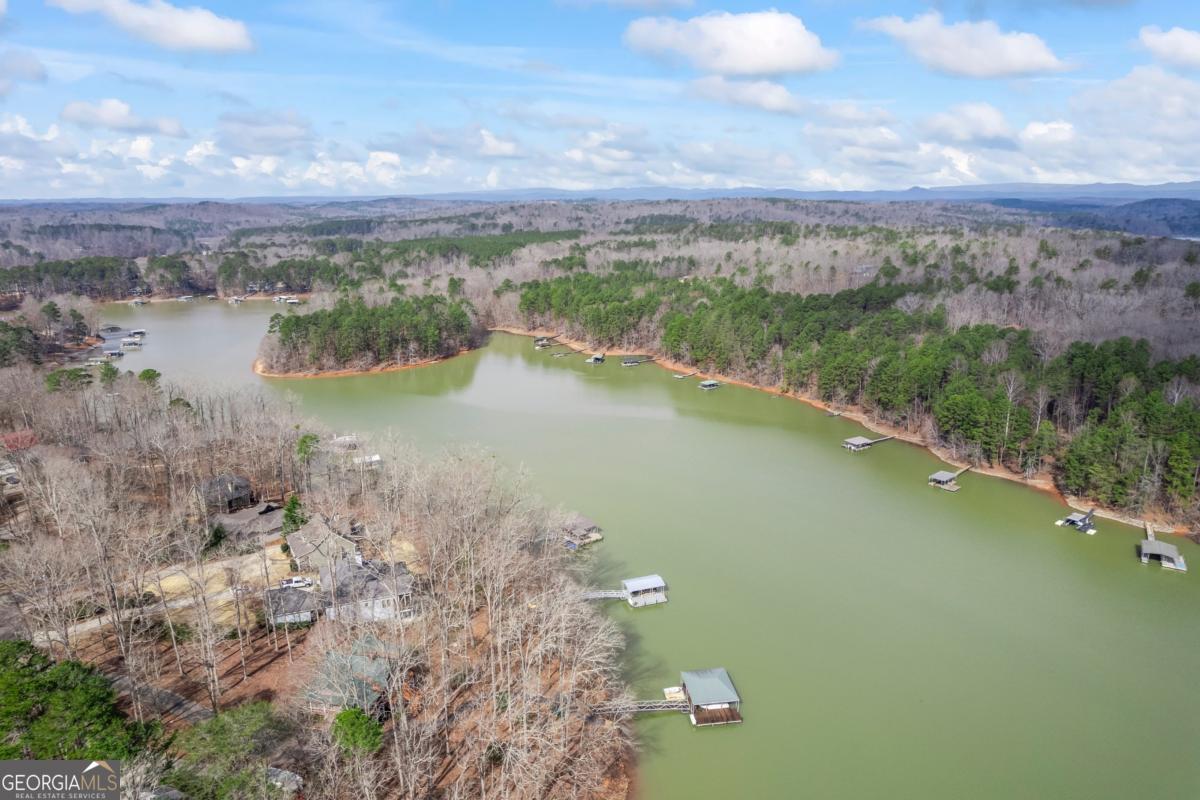 173 River Ridge Road Property Photo 49