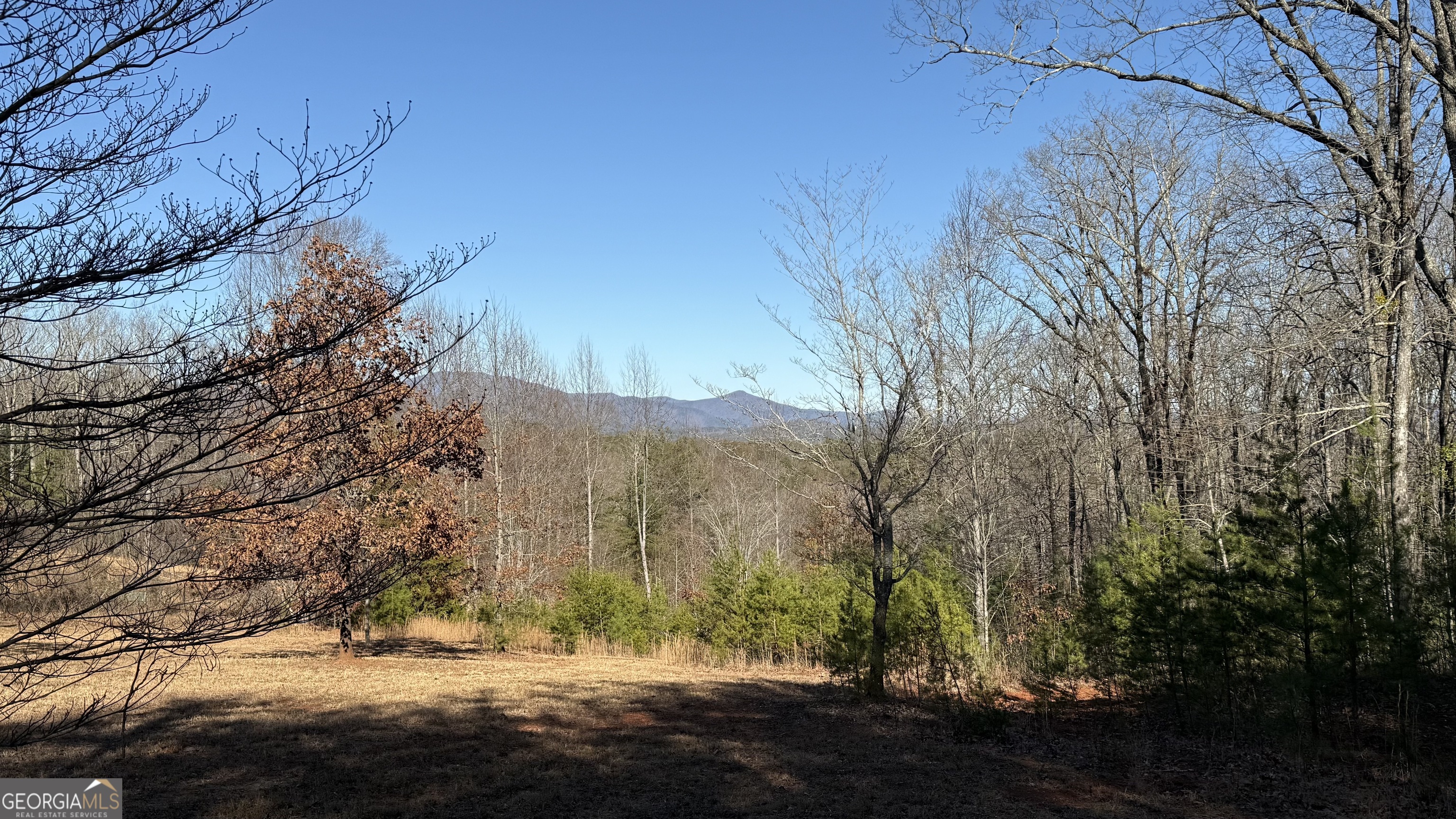 0 Sassafrass Ridge Drive Property Photo