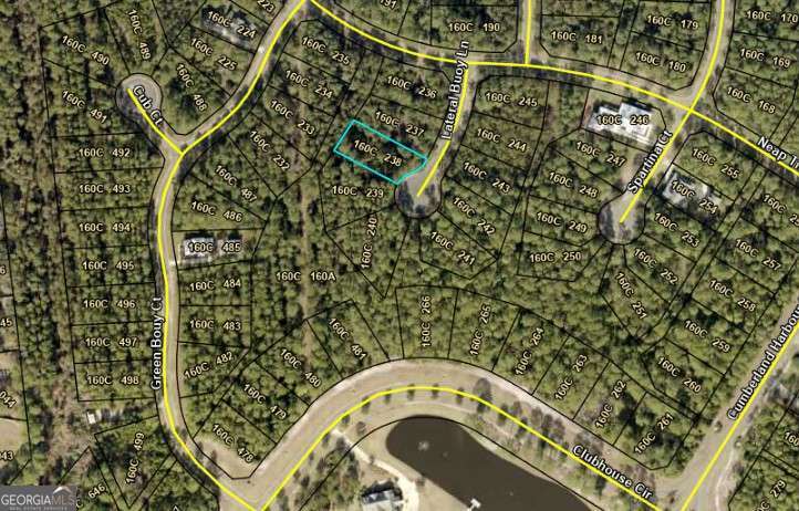 LOT 238 Lateral Buoy Lane Property Photo 1