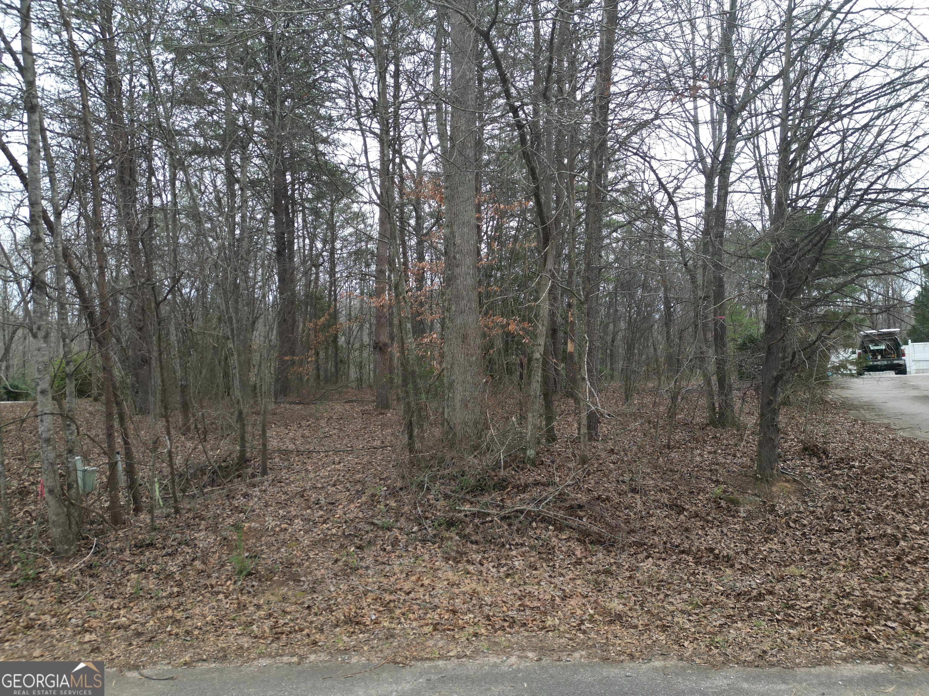 281 Grindstone Creek Drive Property Photo 4