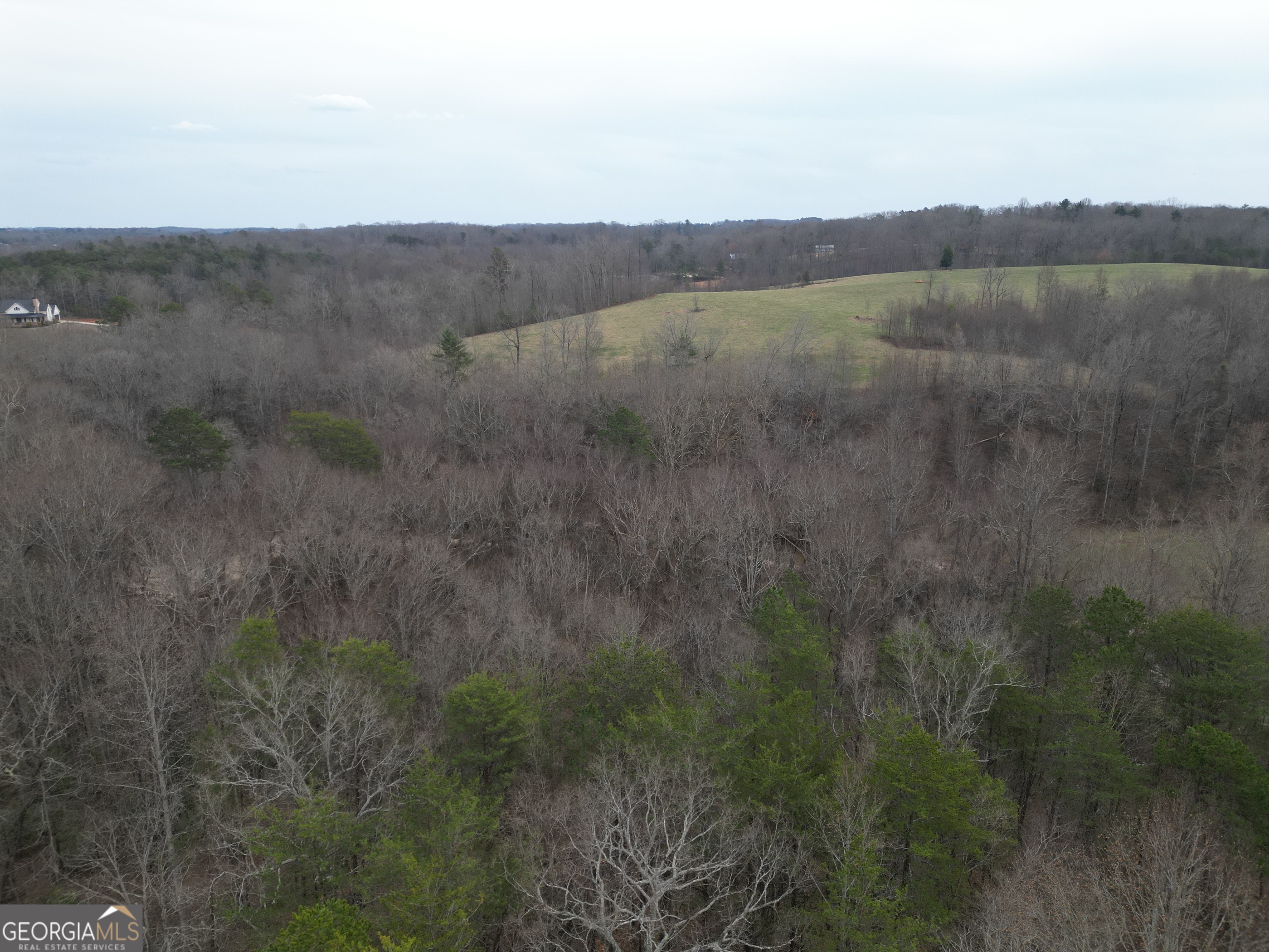 281 Grindstone Creek Drive Property Photo 6