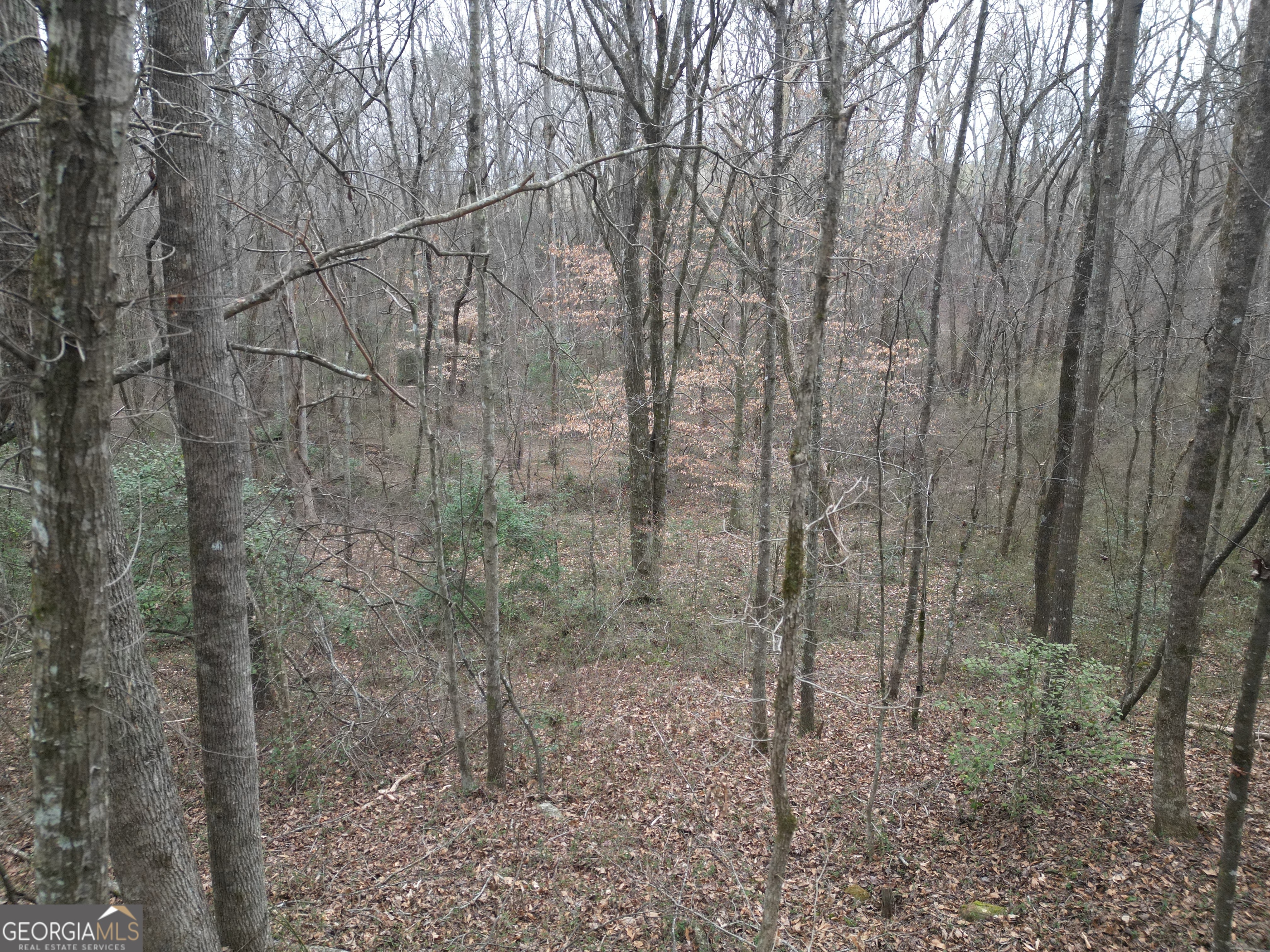 281 Grindstone Creek Drive Property Photo 8