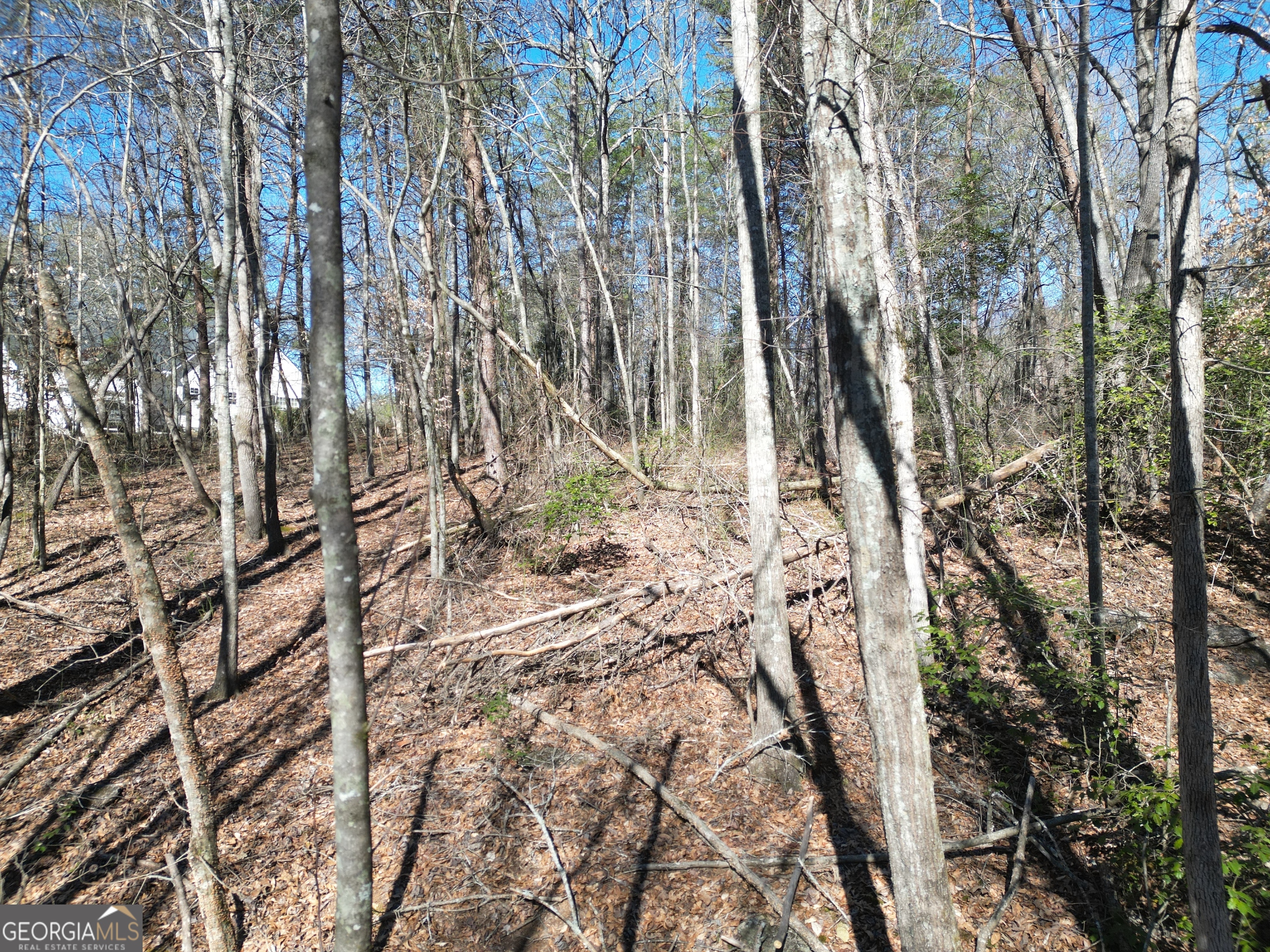281 Grindstone Creek Drive Property Photo 9