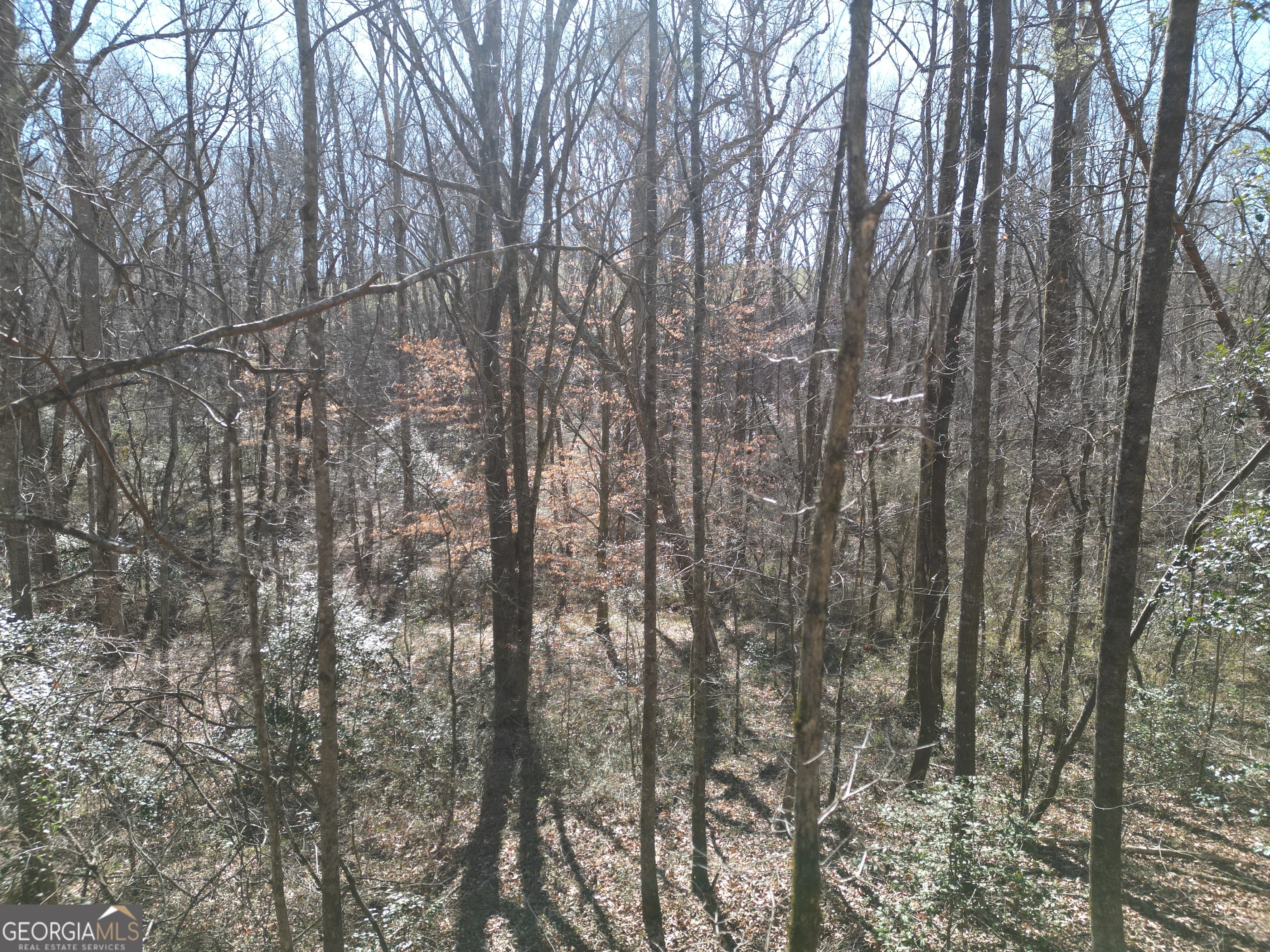 281 Grindstone Creek Drive Property Photo 10