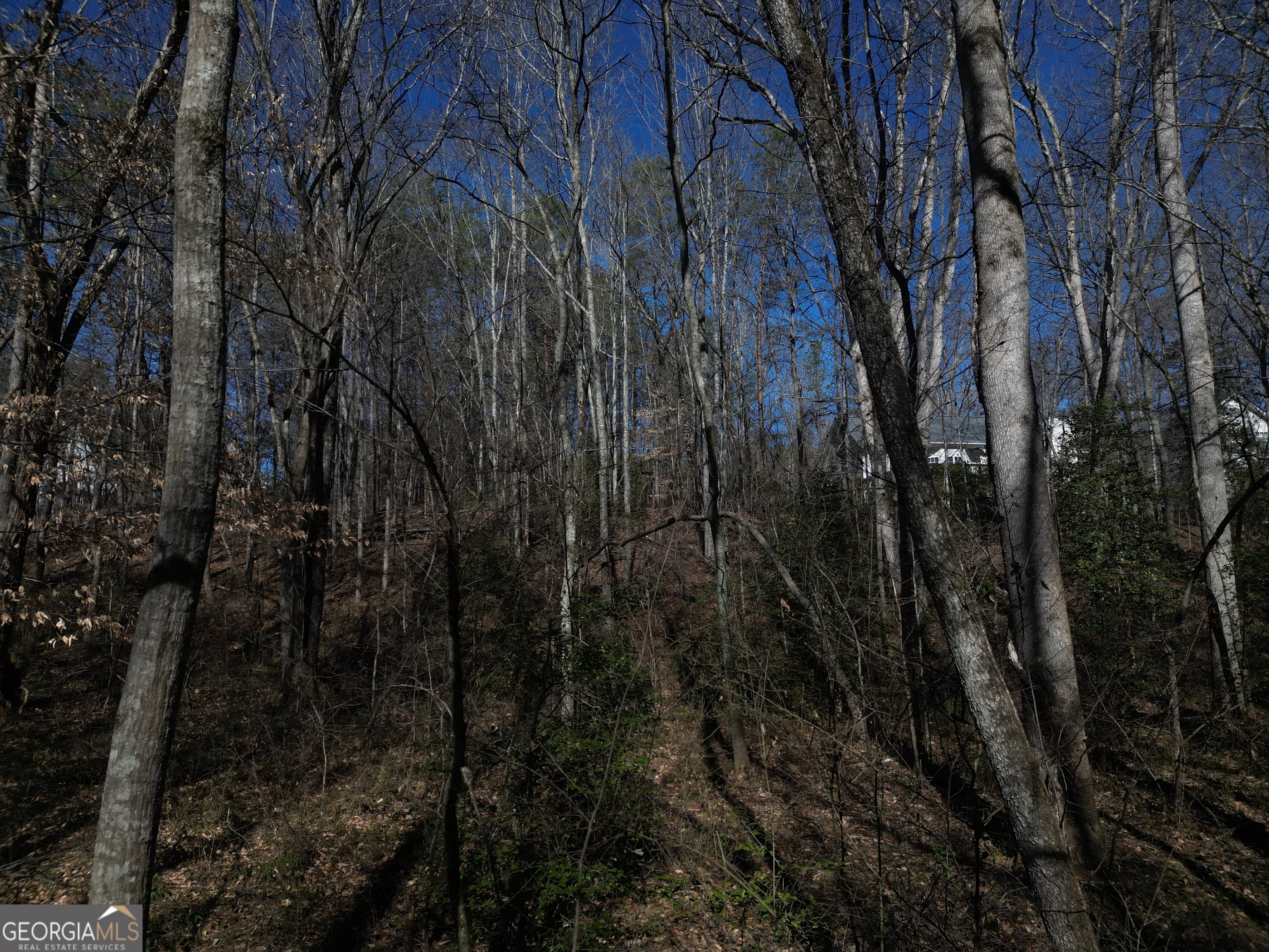 281 Grindstone Creek Drive Property Photo 11