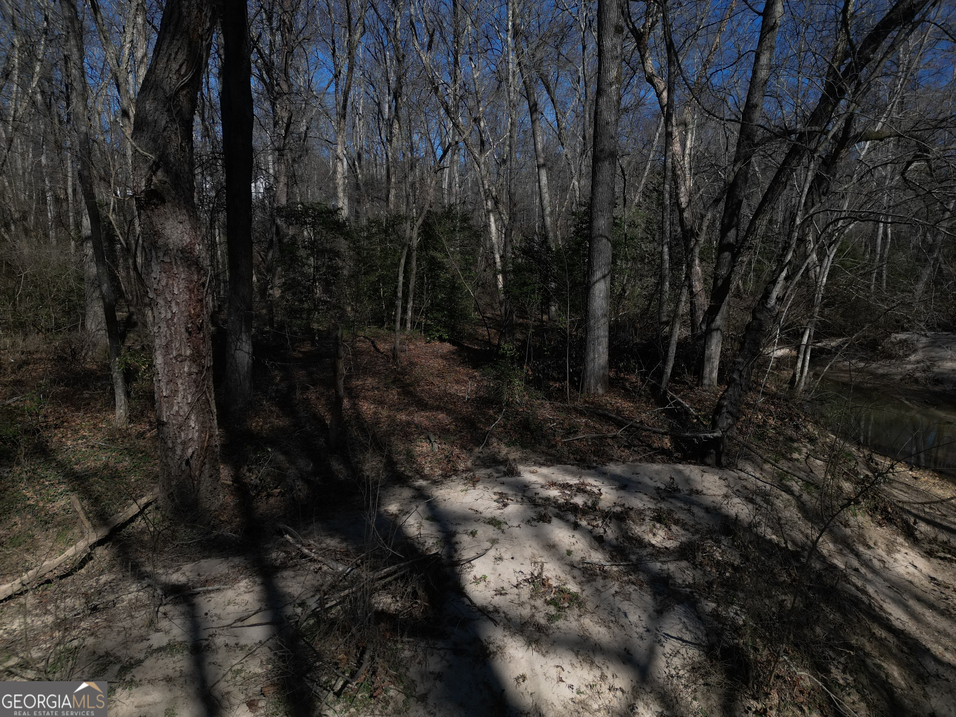 281 Grindstone Creek Drive Property Photo 13