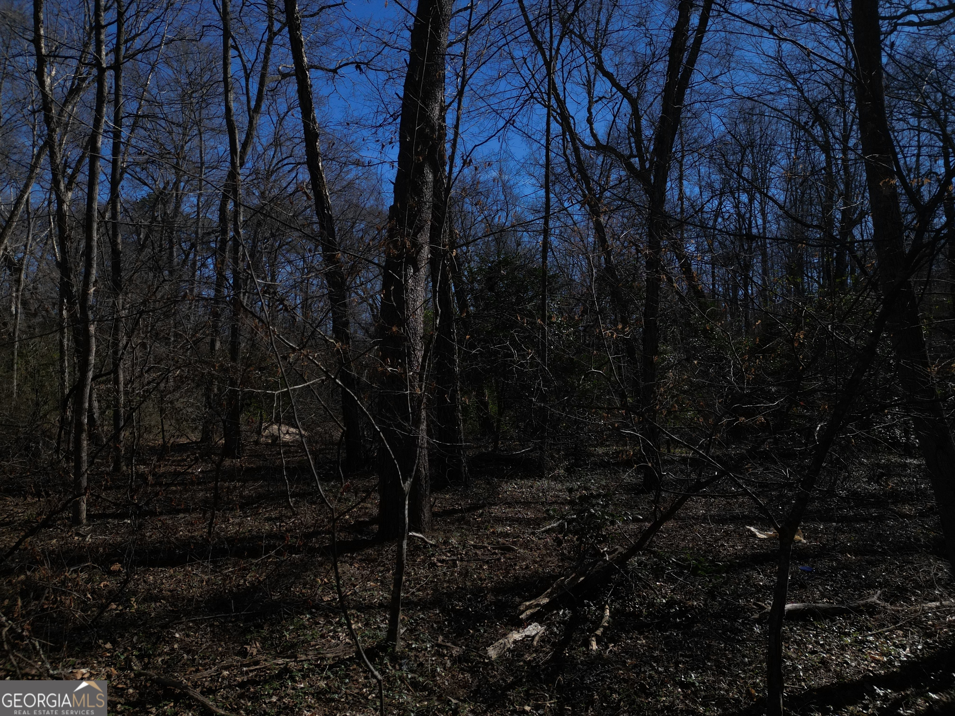 281 Grindstone Creek Drive Property Photo 14