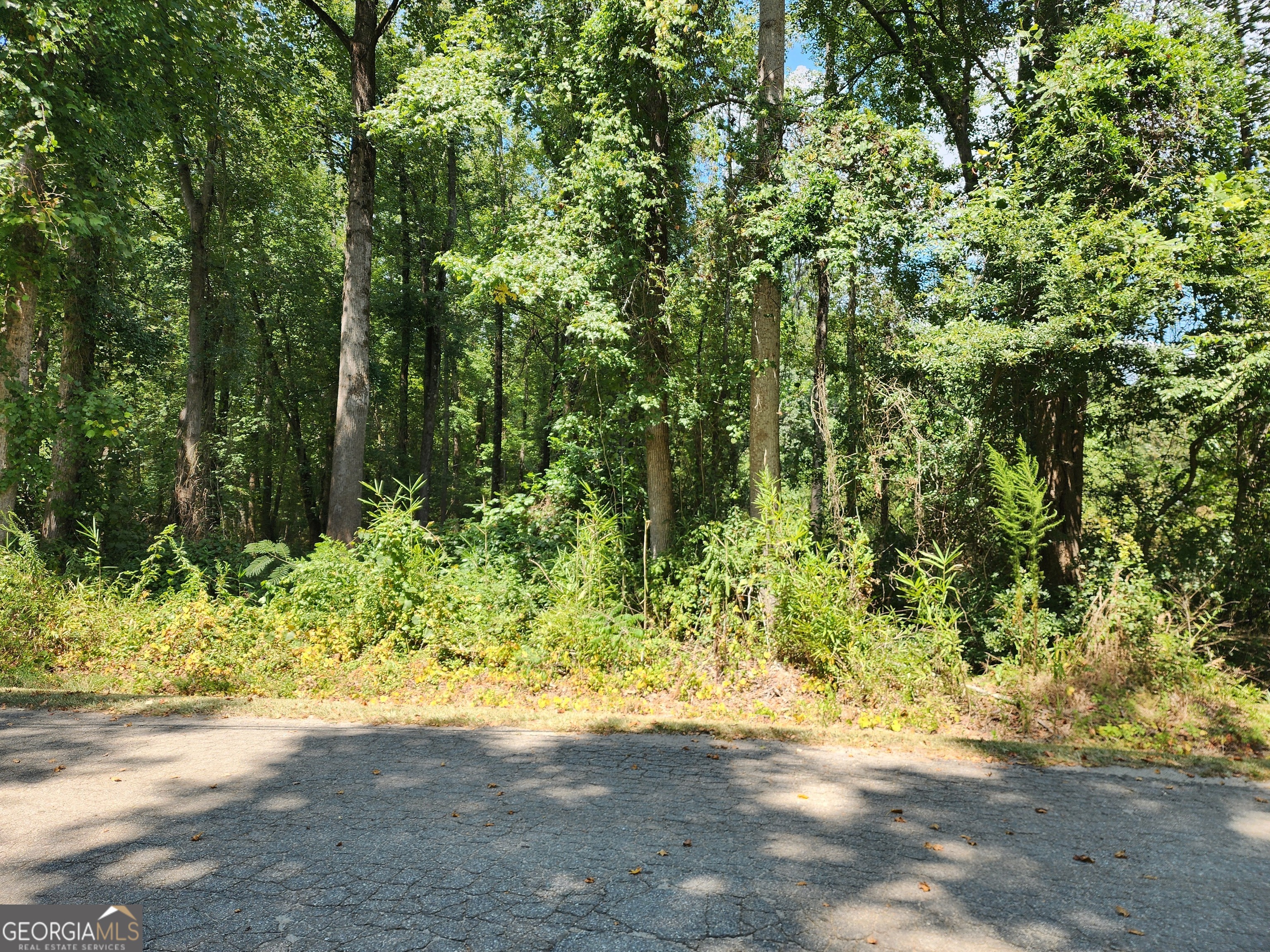 0 Amberly Property Photo