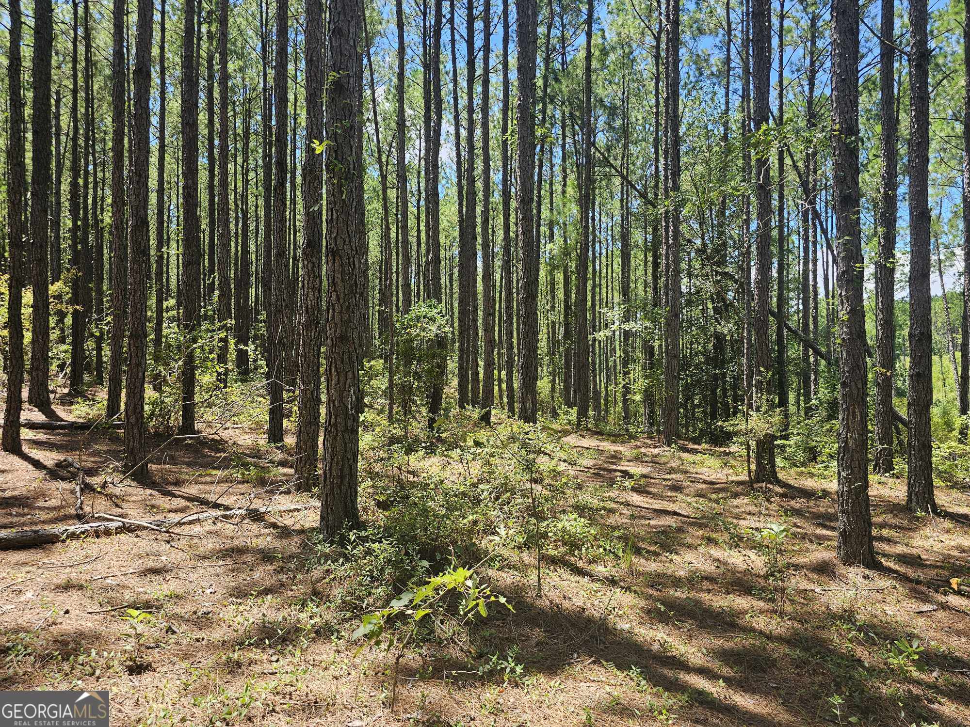 3057 Keysville Boggs Academy Road Property Photo