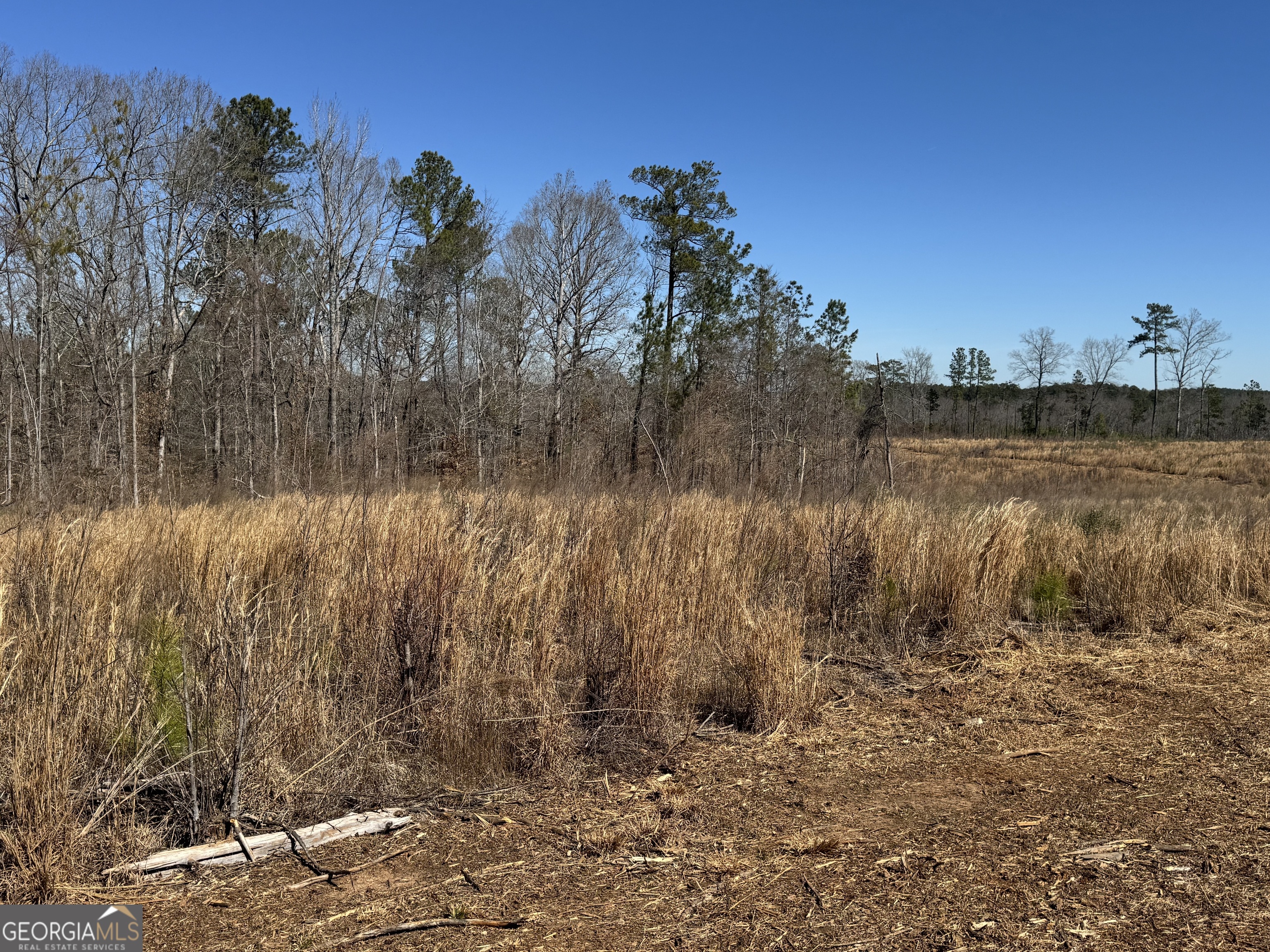 0 Faulkner Road Lot 7 Property Photo 1