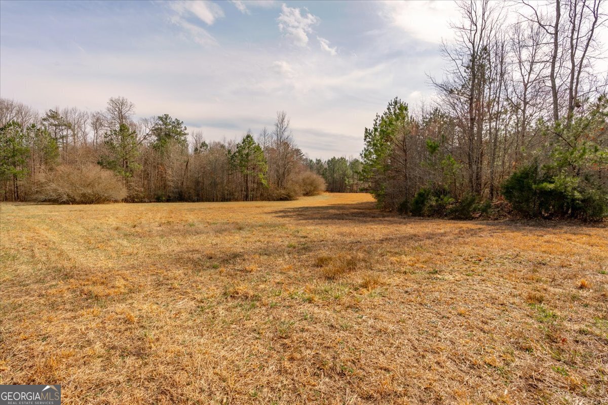 0 Mt Zion Road Property Photo