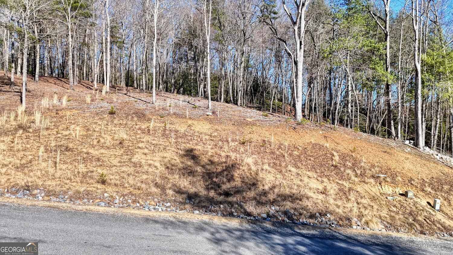 Lot 2 Ridges Drive Property Photo 2