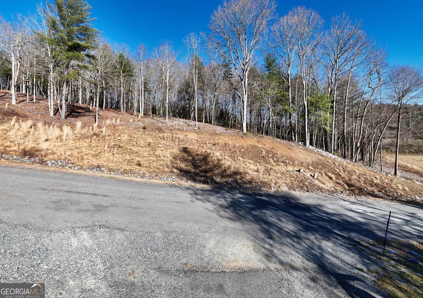 Lot 2 Ridges Drive Property Photo 3