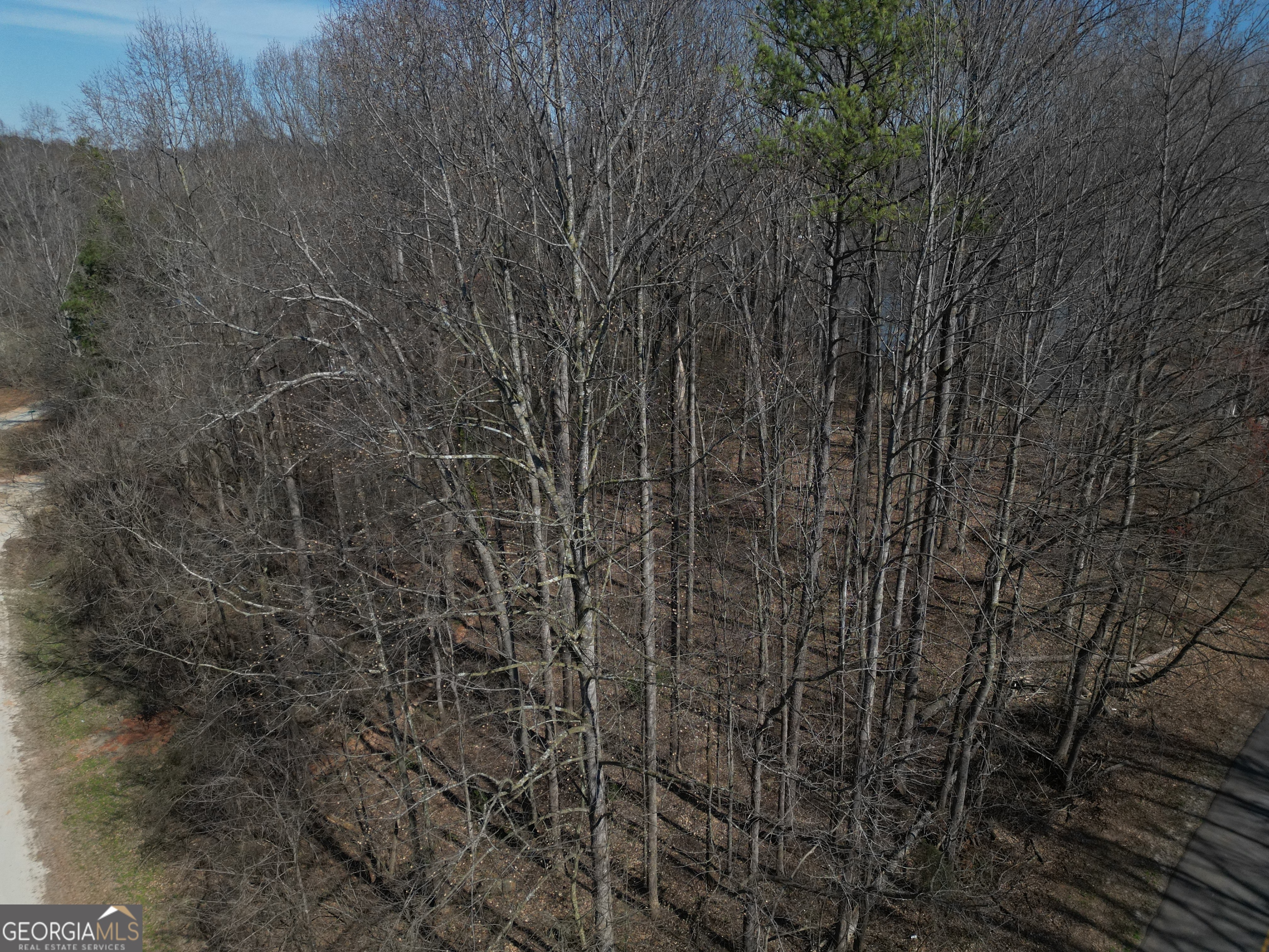 0 Old Chism Trail Property Photo