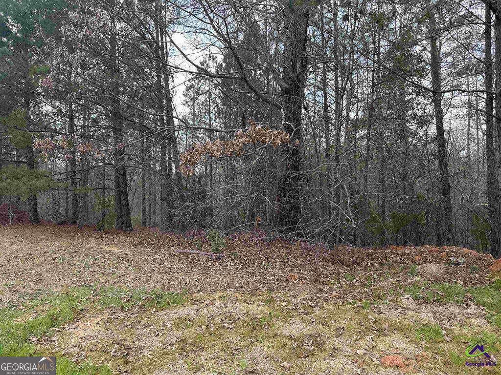 322 Wilsons Creek Bend Property Photo