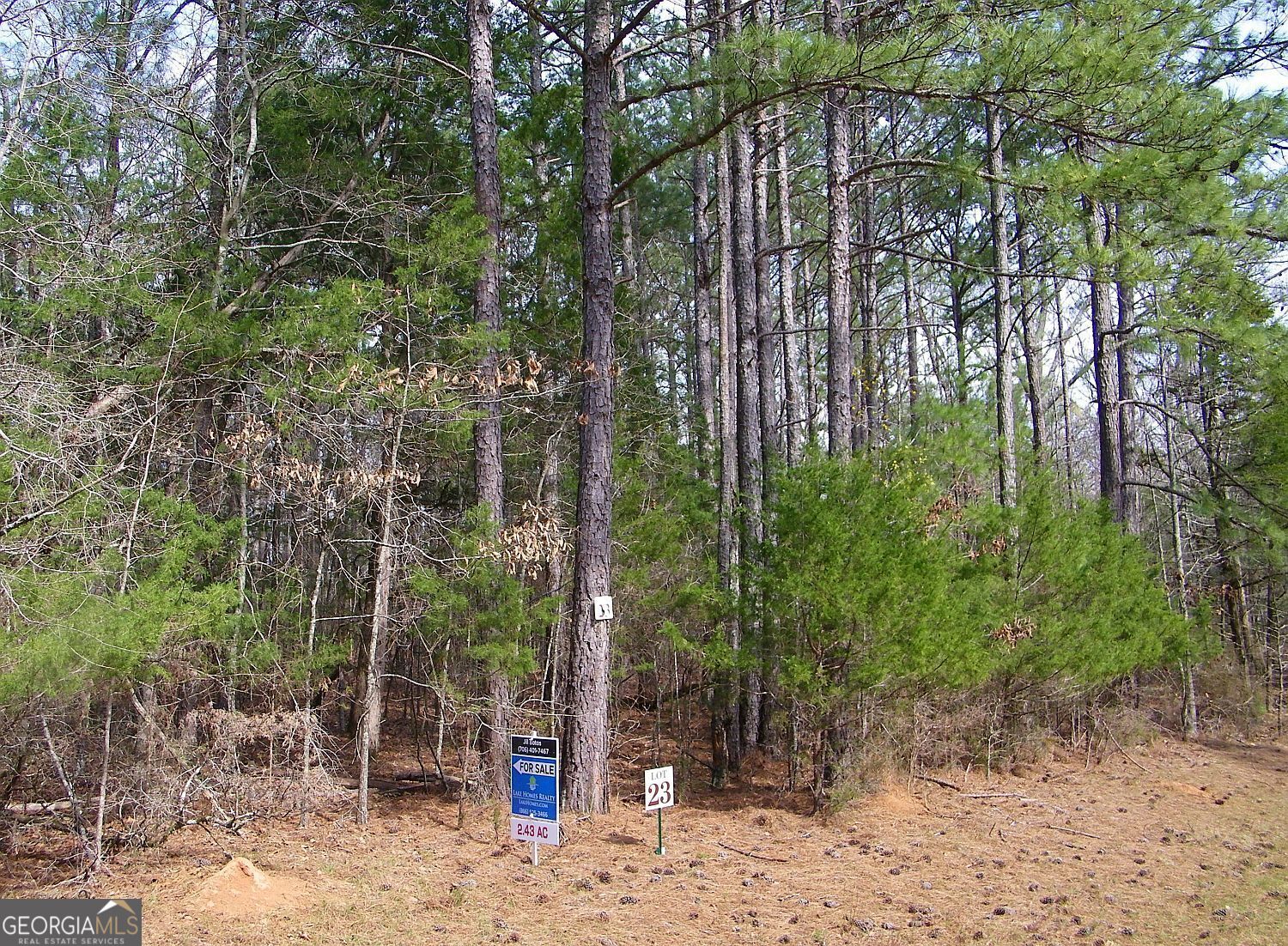 Lot 23 Benjamin Brown Court Property Photo 1