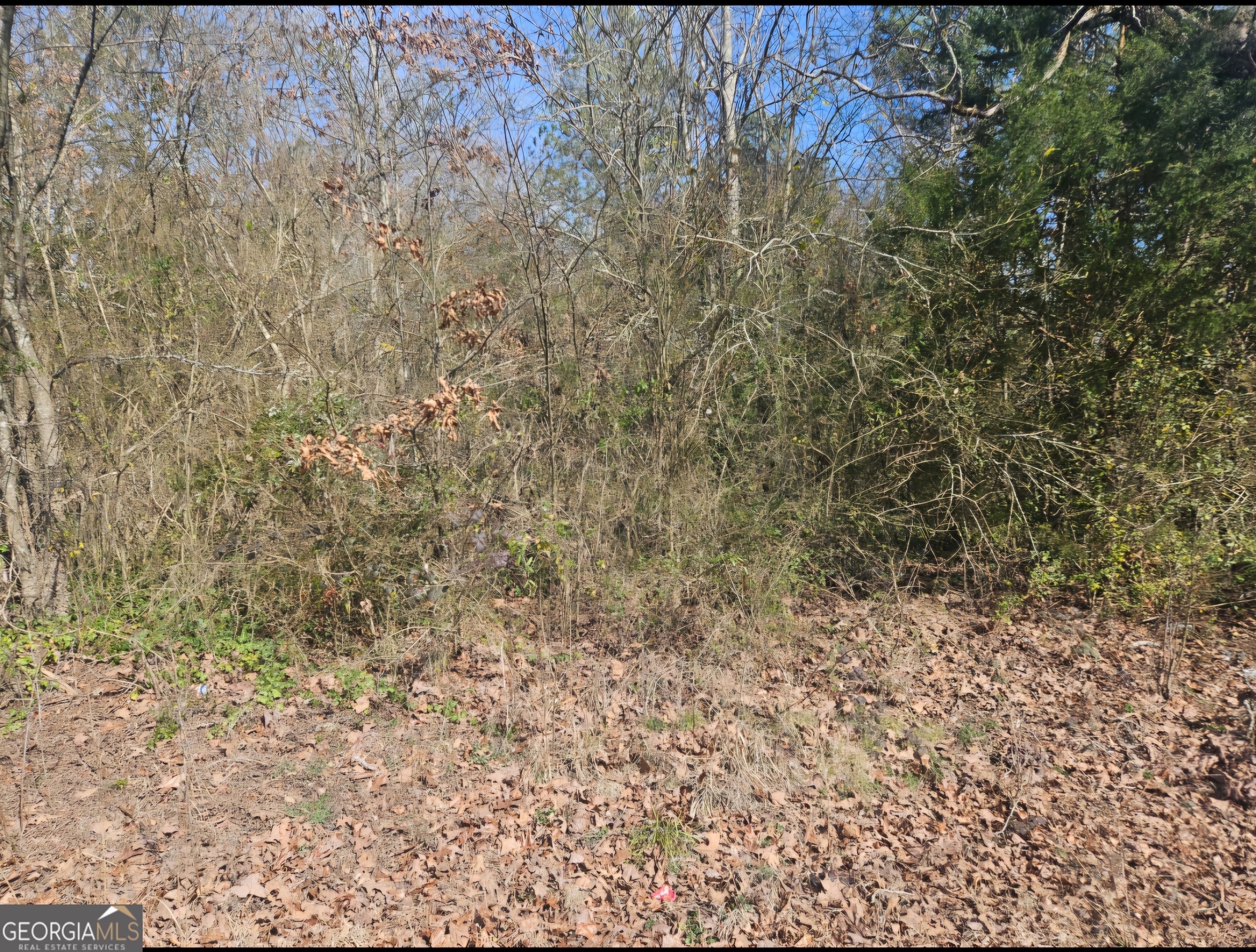 0 Hatfield Road Property Photo