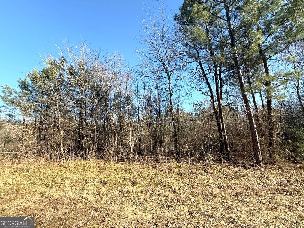 0 Fork Creek Lane Property Photo