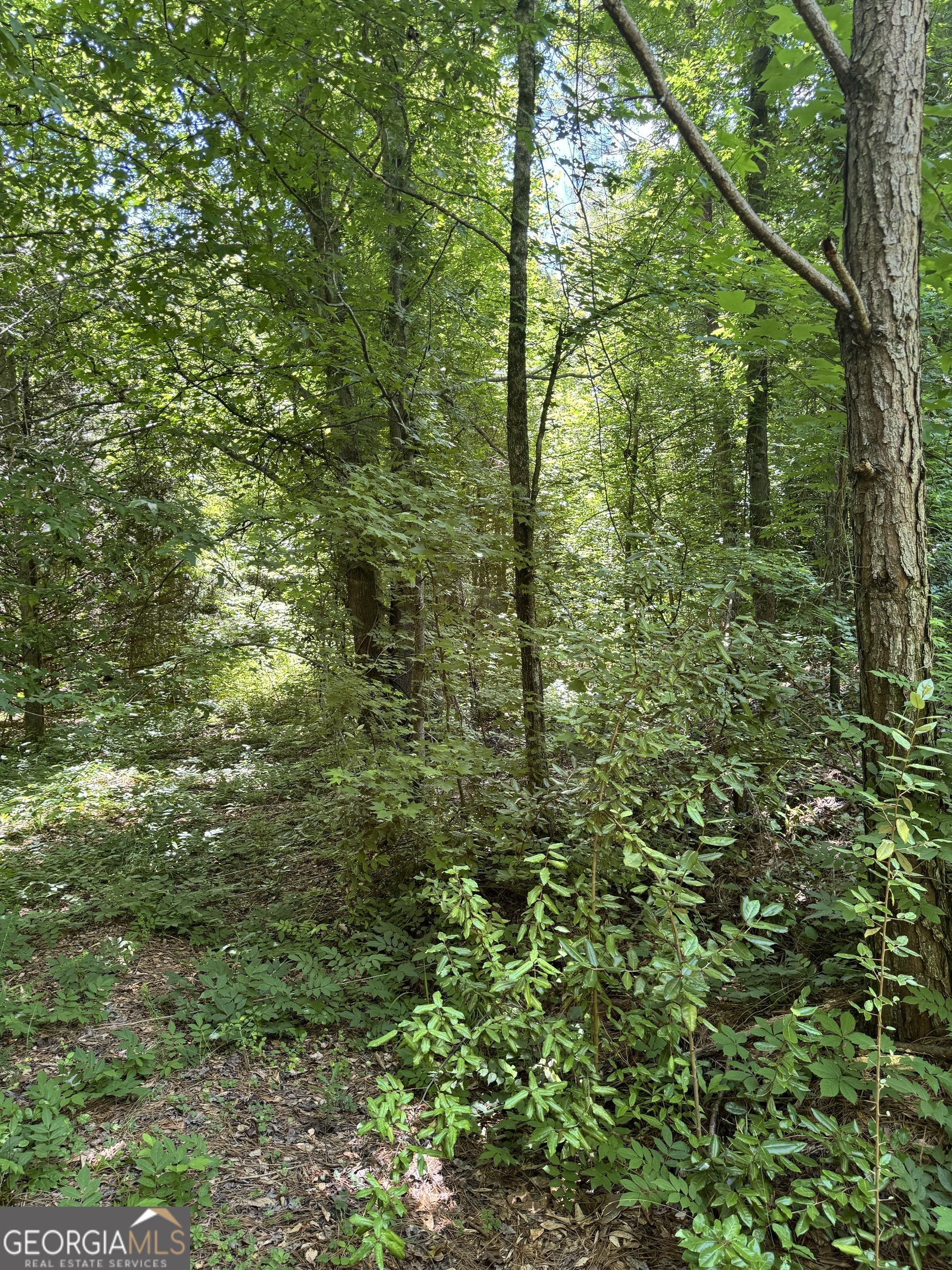2883 Highway 441 S Property Photo 11