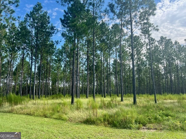 33206 Canoochee Road Property Photo