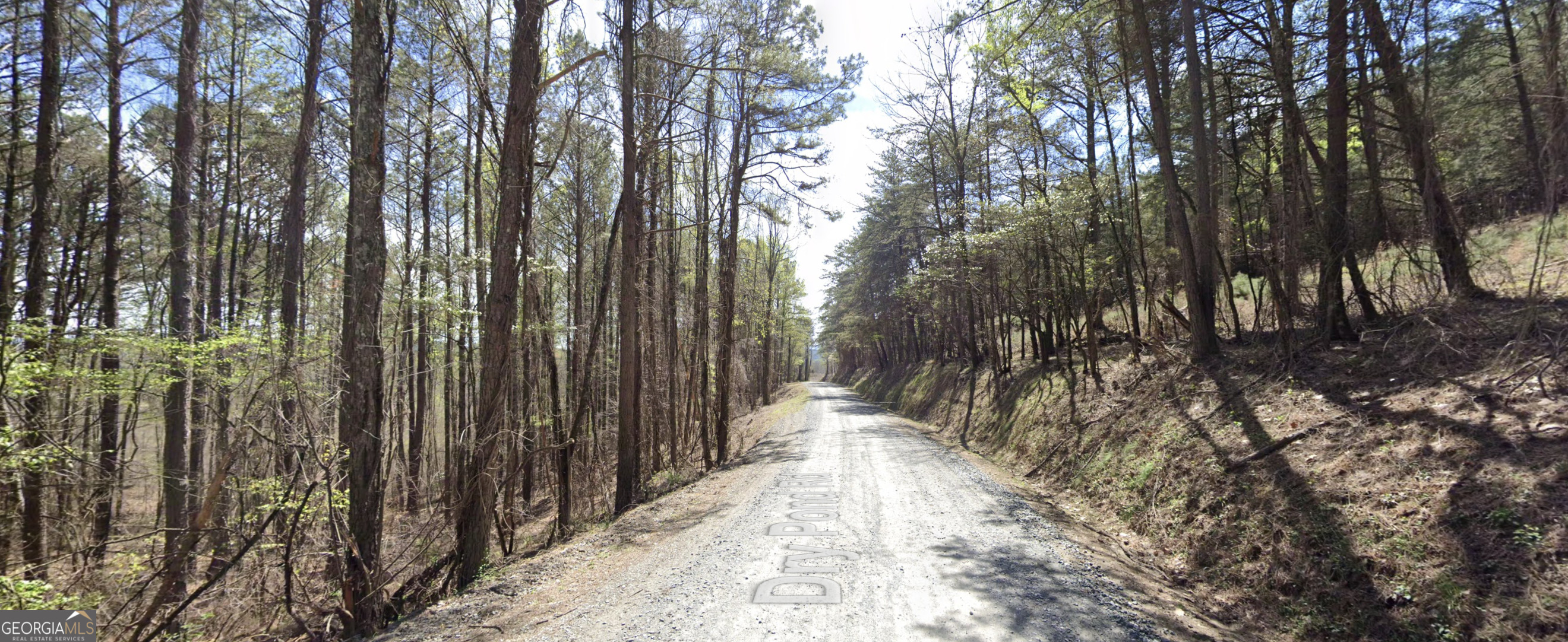 0 (lot #4 West) Dry Pond Road Property Photo