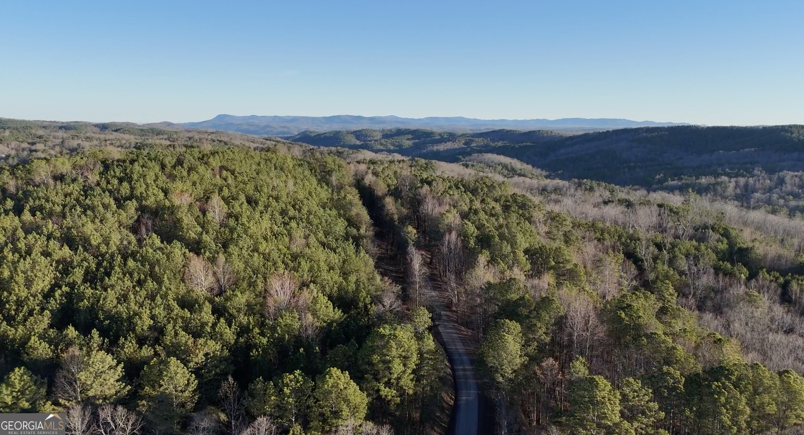0 (lot #6 West) Dry Pond Road Property Photo