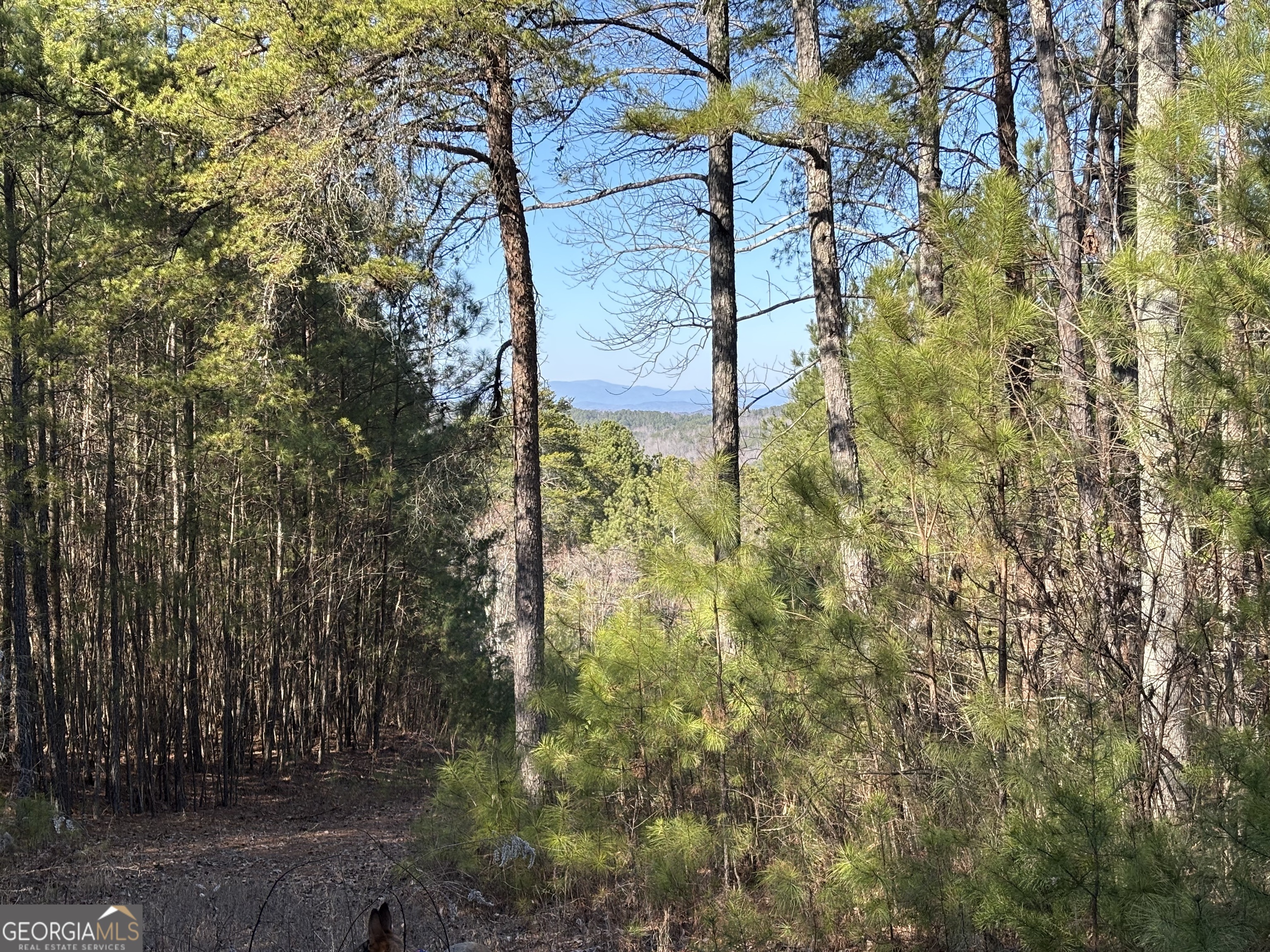 0 (lot #3 West) Dry Pond Road Property Photo
