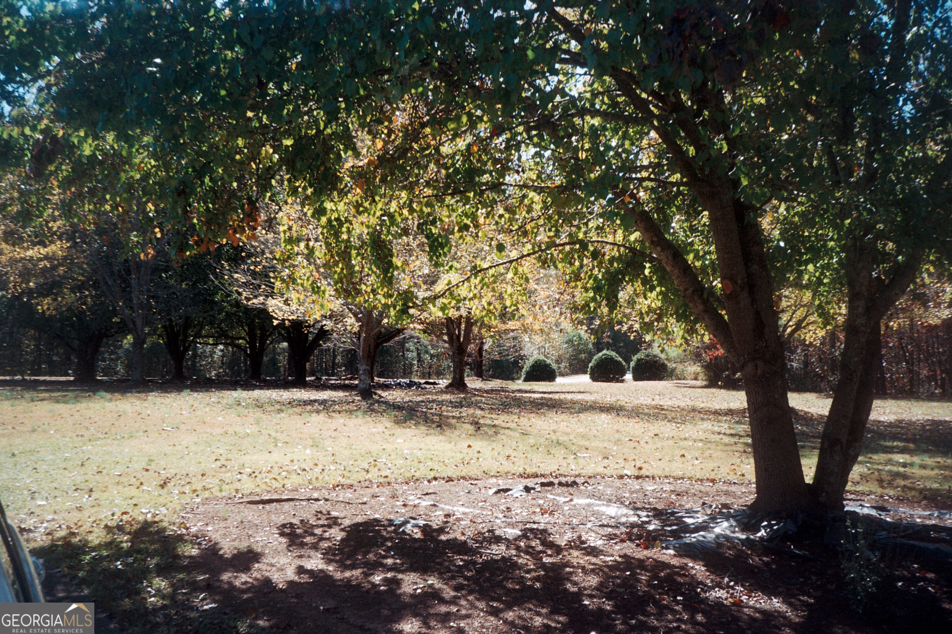 5301 L J Martin Drive Property Photo 1