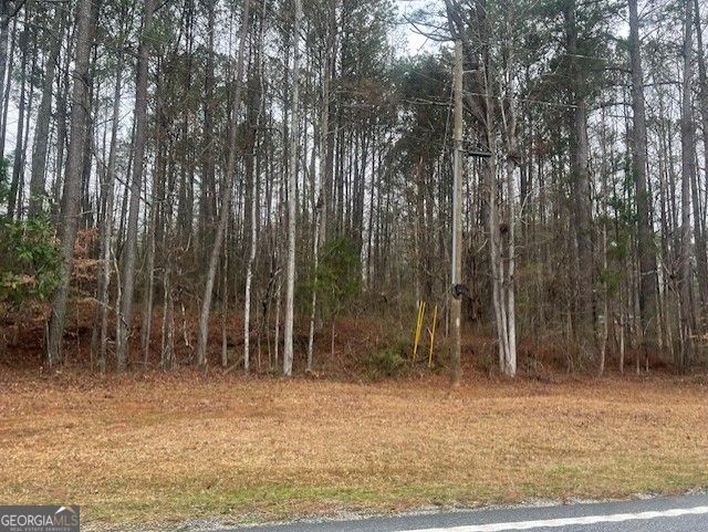 0 Cascade Palmetto Highway Property Photo 1